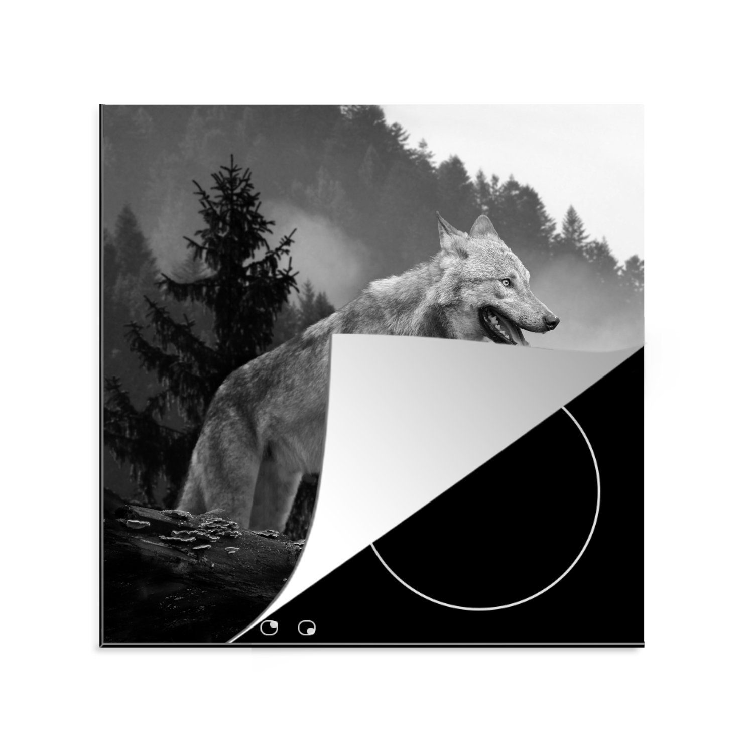 MuchoWow Herdblende-/Abdeckplatte Induktionsschutz - Wolf - Wald - Induktionsmatte, Vinyl, (1 tlg), 78x78 cm, Ceranfeldabdeckung, Arbeitsplatte für küche