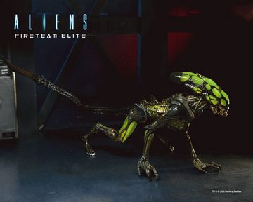 NECA Actionfigur Aliens Fireteam 2er Set Action figur Burster & Spitter