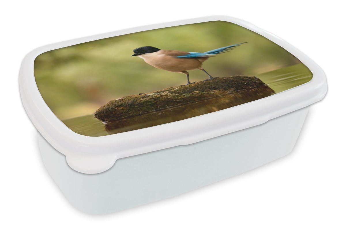 MuchoWow Lunchbox Elster - Vogel Mädchen Moos, - Brotdose, und weiß Kunststoff, für für Erwachsene, und Kinder (2-tlg), Brotbox Jungs
