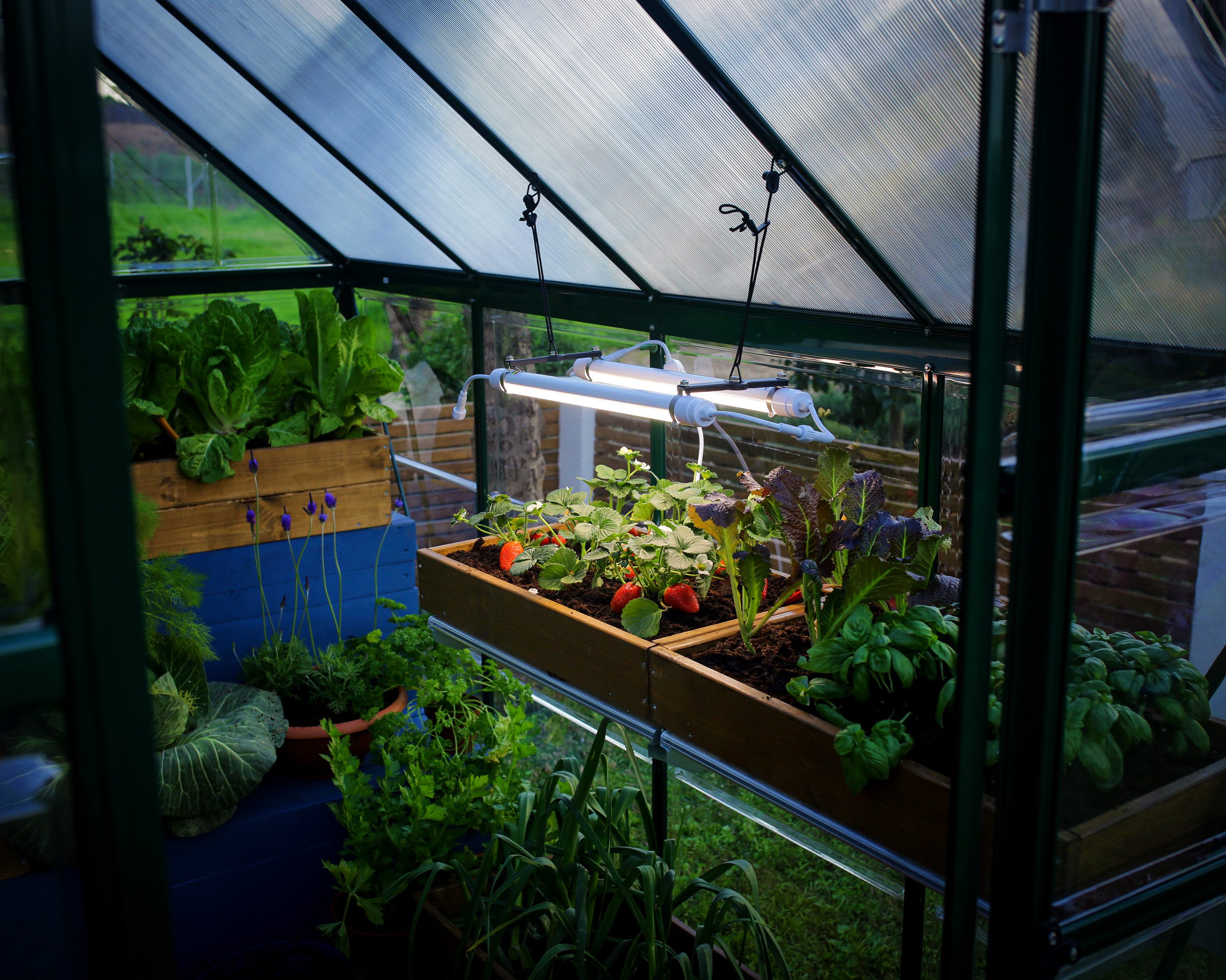 Palram - Canopia LED Gartenleuchte Brighton, LED fest integriert, Neutralweiß, LED-UV-Wachstumslicht für Gewächshäuser
