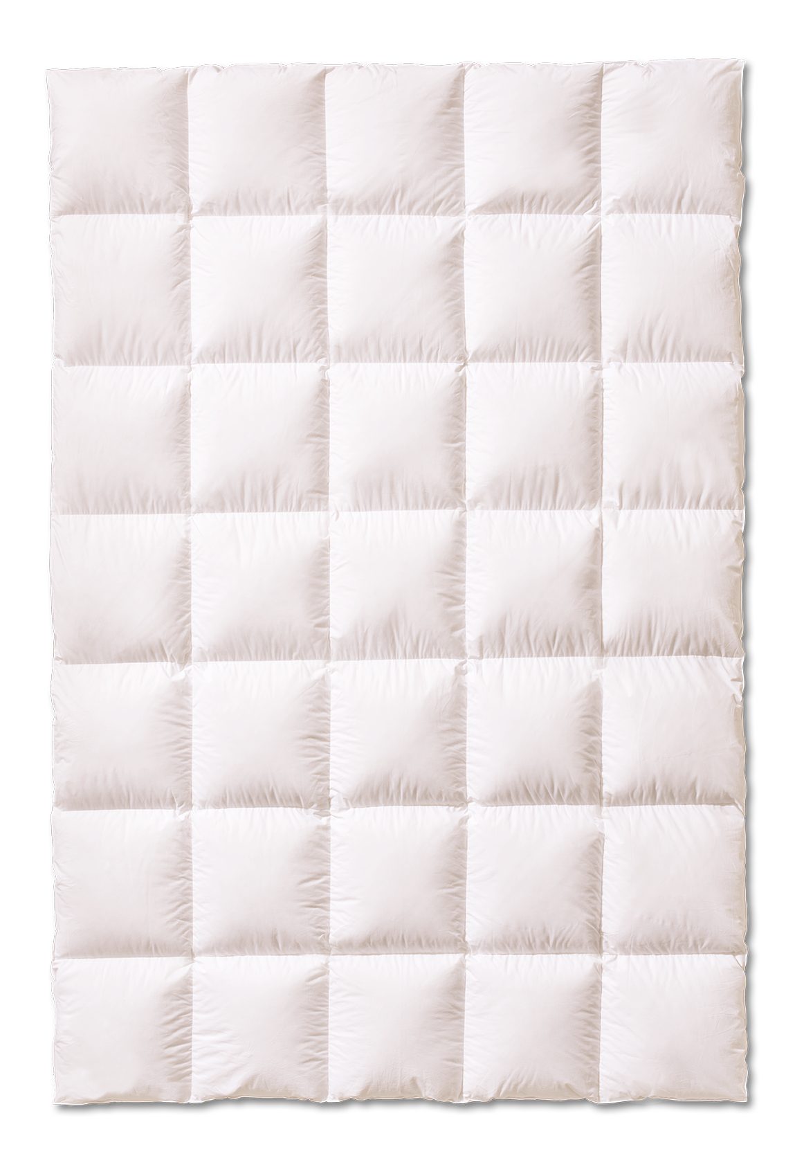 Kauffmann Daunenbettdecke Superior - Warm Daunenbettdecke mit 2 cm Innen- und Außensteg, Füllung: 100% Daunen, Bezug: 100% Baumwolle, Besonders wärmend, ideal für kalte Nächte