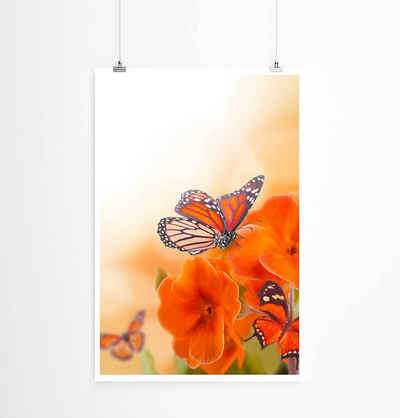 Sinus Art Poster Naturfotografie 60x90cm Poster Rote Schmetterlinge und Blumen