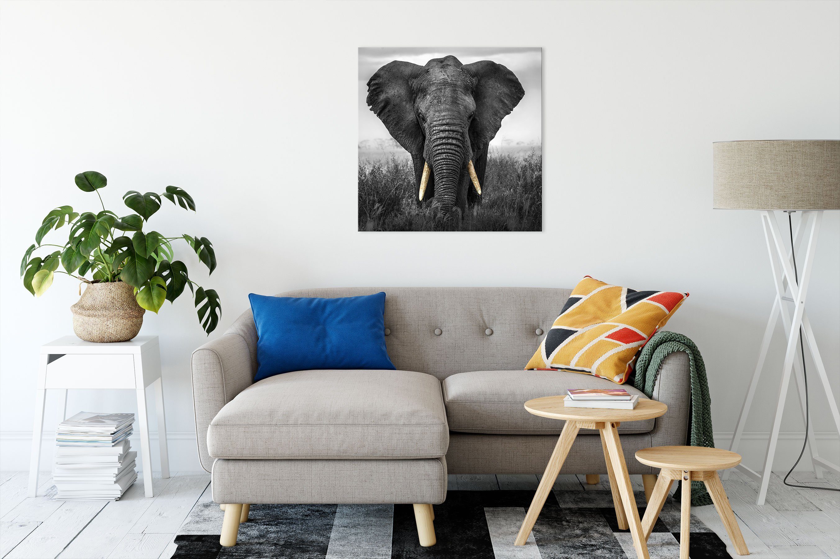 Leinwandbild bespannt, St), Leinwandbild Elefant, inkl. (1 prachtvoller fertig Pixxprint Zackenaufhänger prachtvoller Elefant
