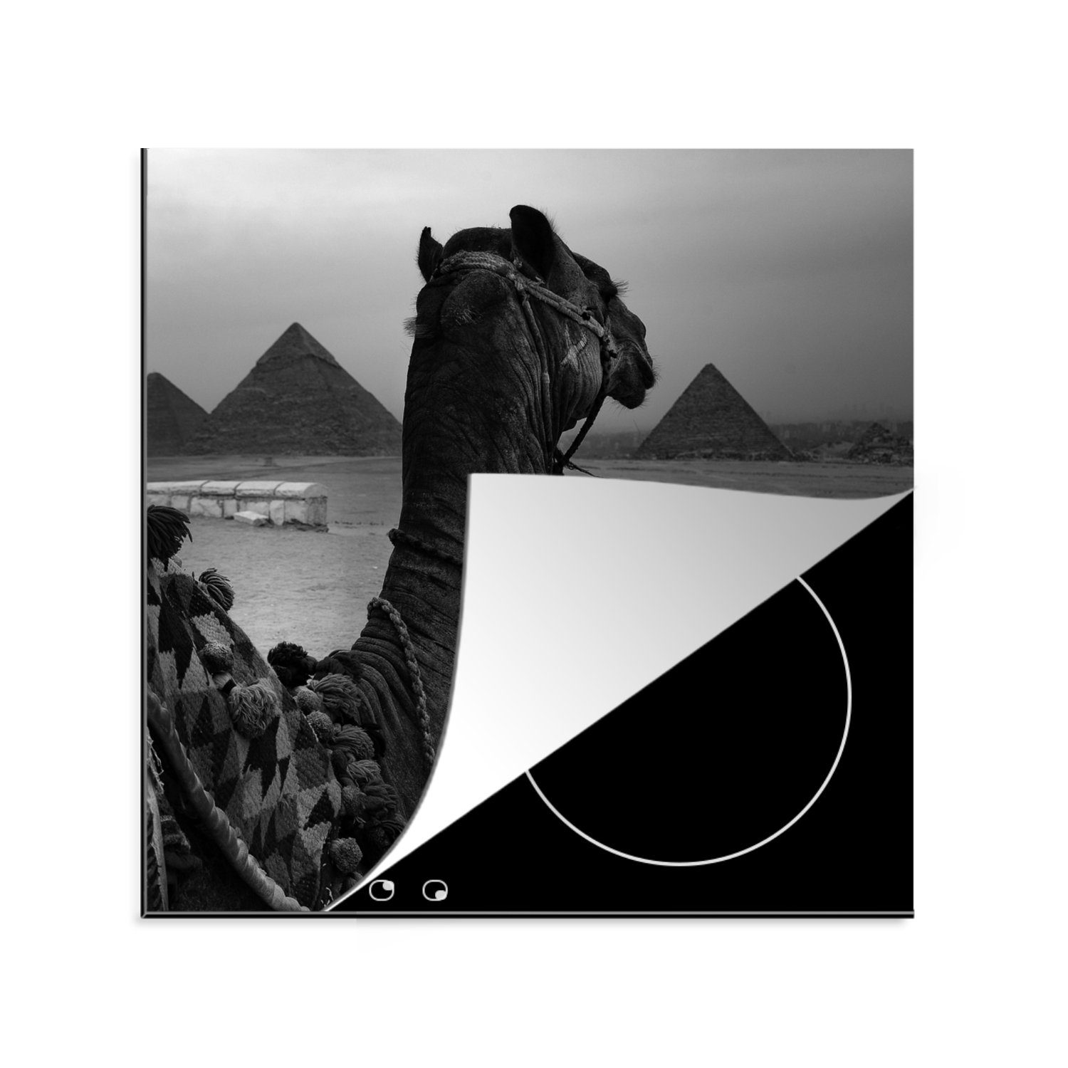 MuchoWow Herdblende-/Abdeckplatte Ägypten (1 tlg), Arbeitsplatte Vinyl, Schwarz - cm, - für Weiß, Ceranfeldabdeckung, küche Kamel - 78x78