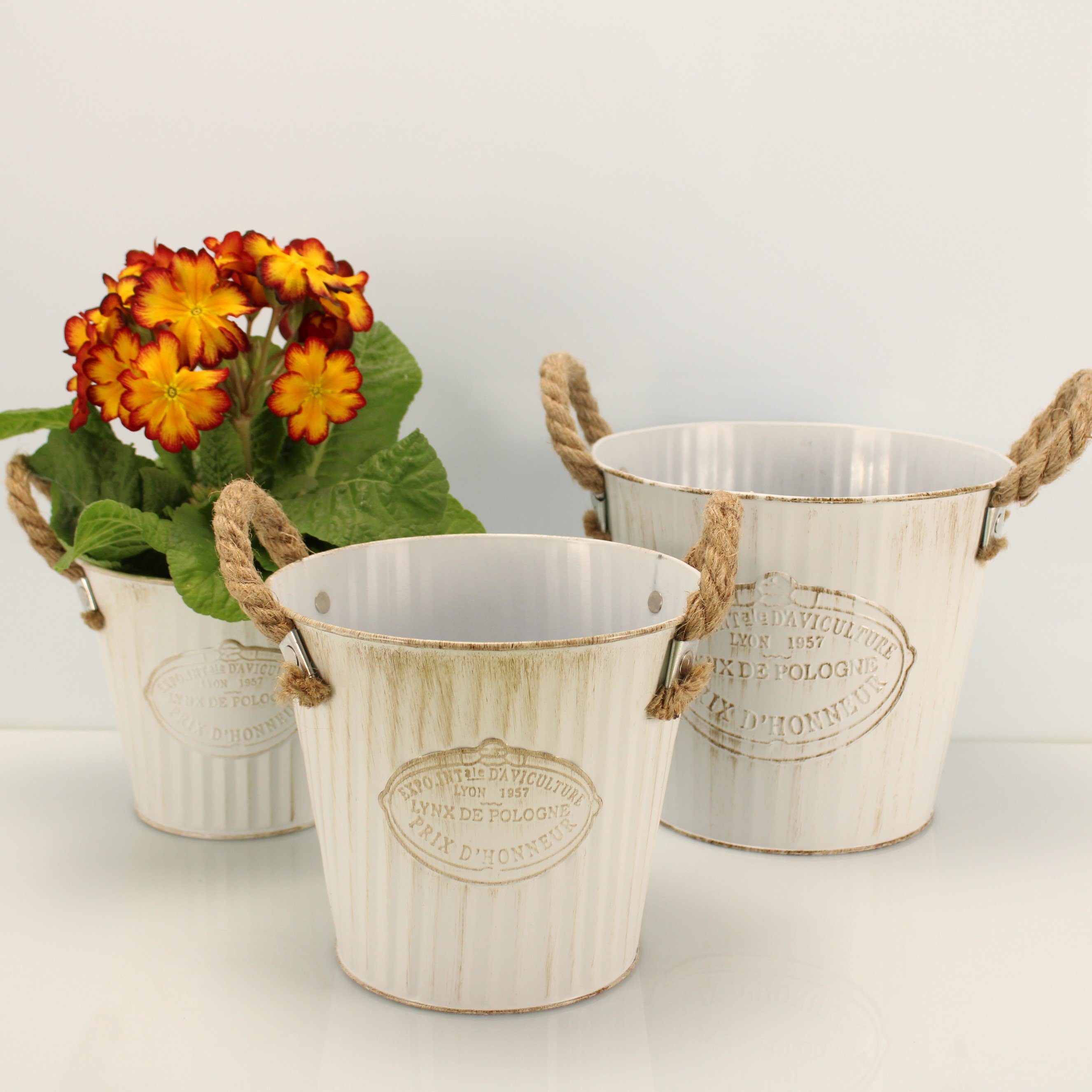 Online-Fuchs Blumentopf 3 runde Blumentöpfe aus günstig online kaufen