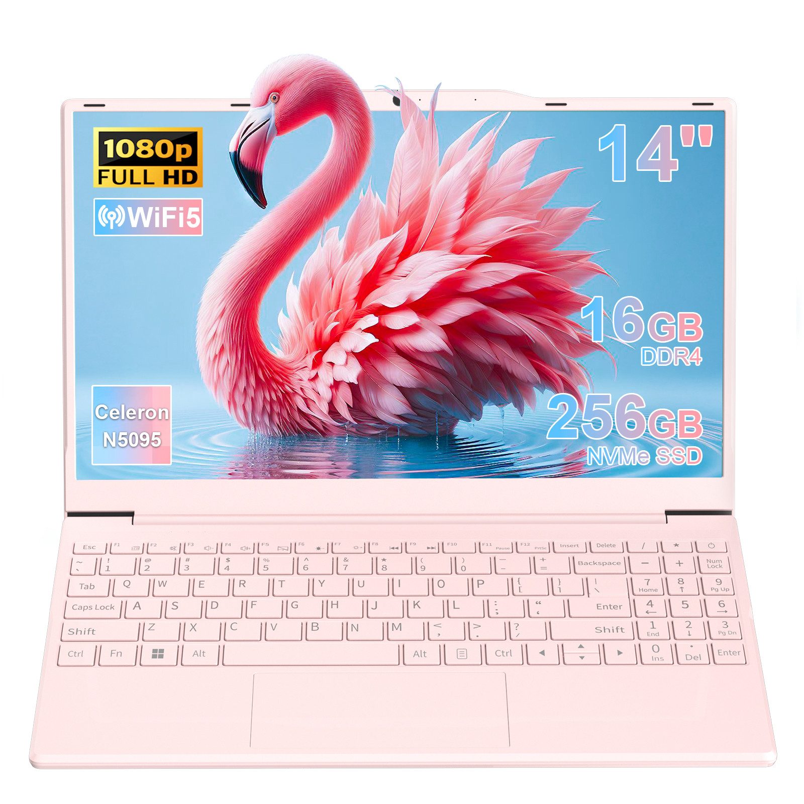 LONGEVINCE Rosa Laptop, 14 Zoll Full HD IPS - 16GB RAM, 1920x1080 Bildschirm Notebook (35,56 cm/14 Zoll, Intel Celeron N5095, Intel UHD Graphics, 238 GB SSD)