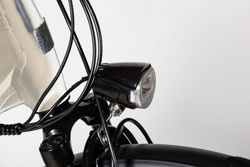 Maxtron E-Bike MC 5X, 7 Gang Shimano Nexus Schaltwerk, Nabenschaltung, Mittelmotor, 360 Wh Akku, Pedelec, Elektrofahrrad für Damen u. Herren, Cityrad