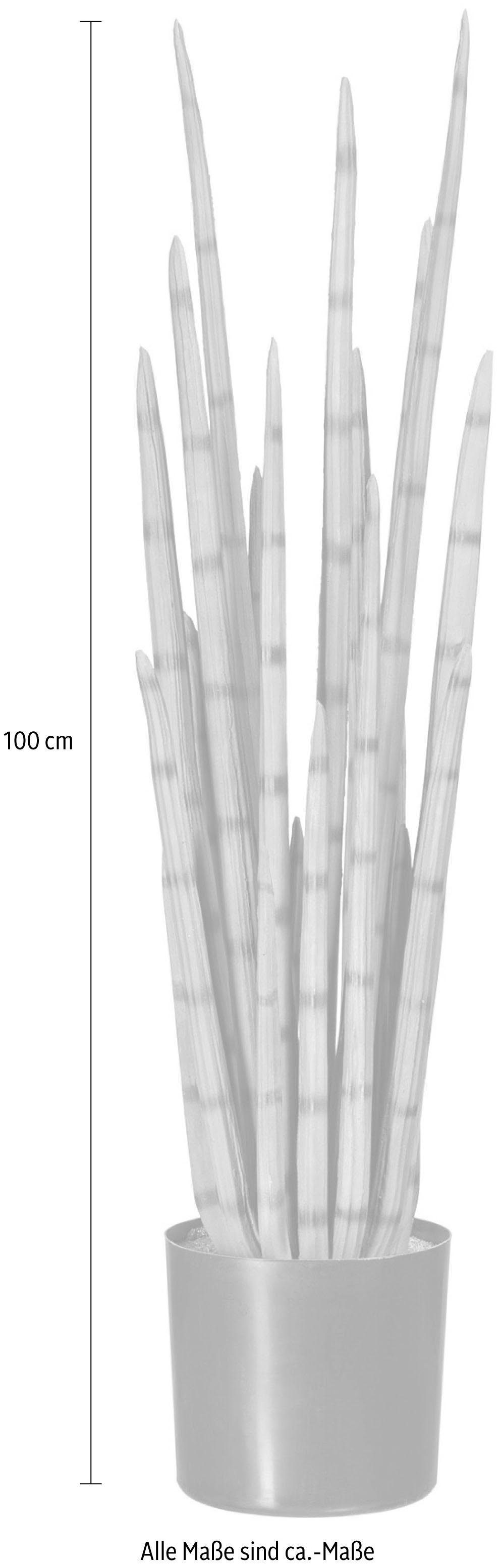 Kunstpflanze Sanseveria, Creativ green, Höhe 100 cm günstig online kaufen