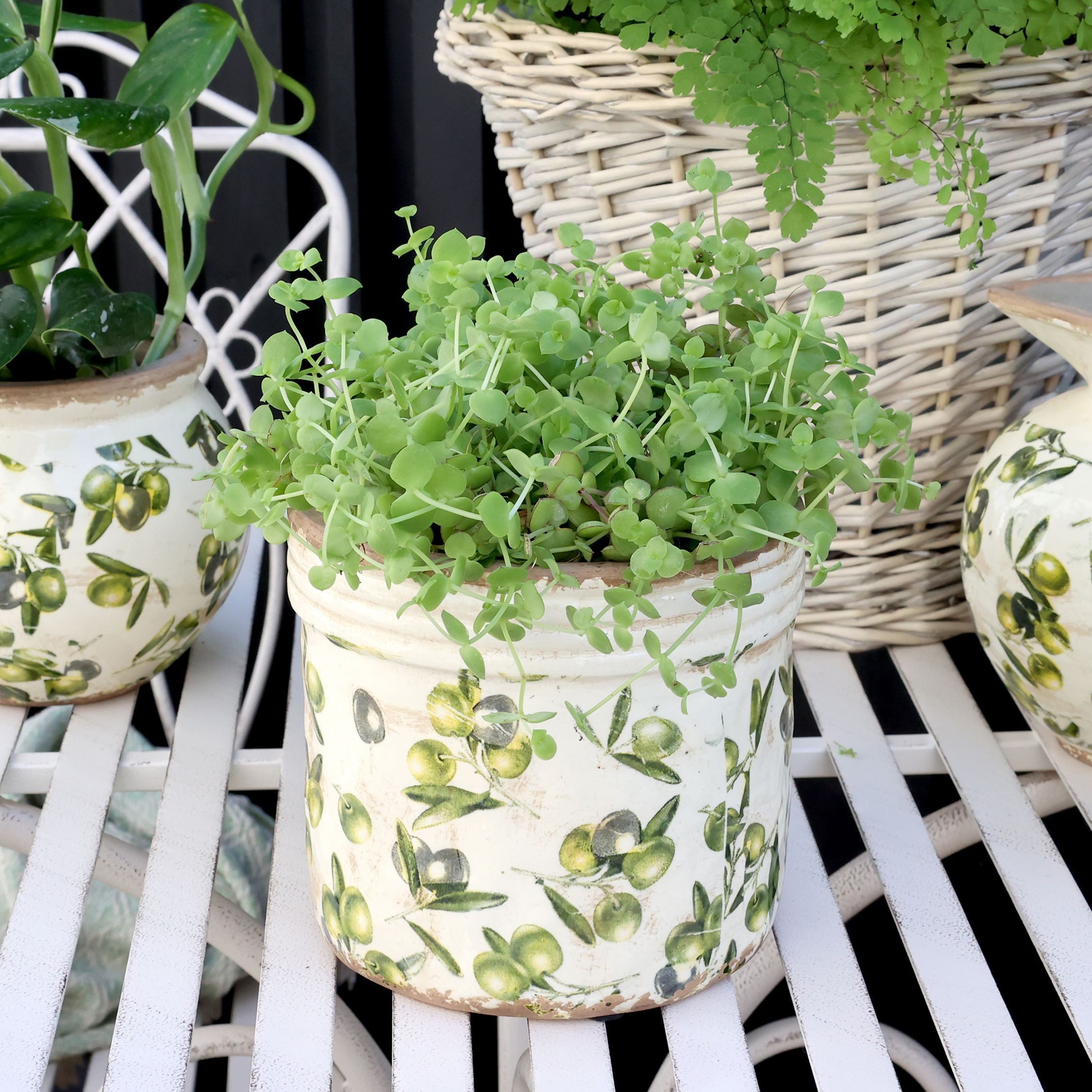 Annimuck Übertopf Chic Antique Vintage Olive günstig online kaufen