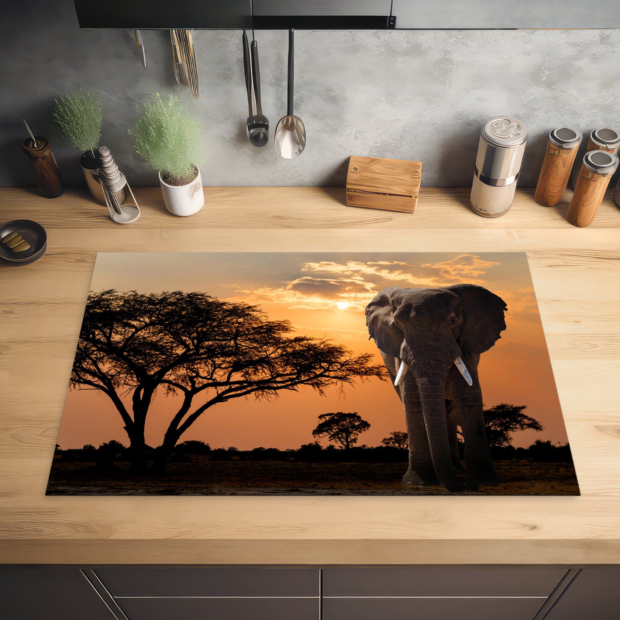 tlg), für Herdblende-/Abdeckplatte die Elefant 81x52 cm, MuchoWow Vinyl, - Baum (1 Induktionskochfeld - Ceranfeldabdeckung Schutz Afrika, küche,