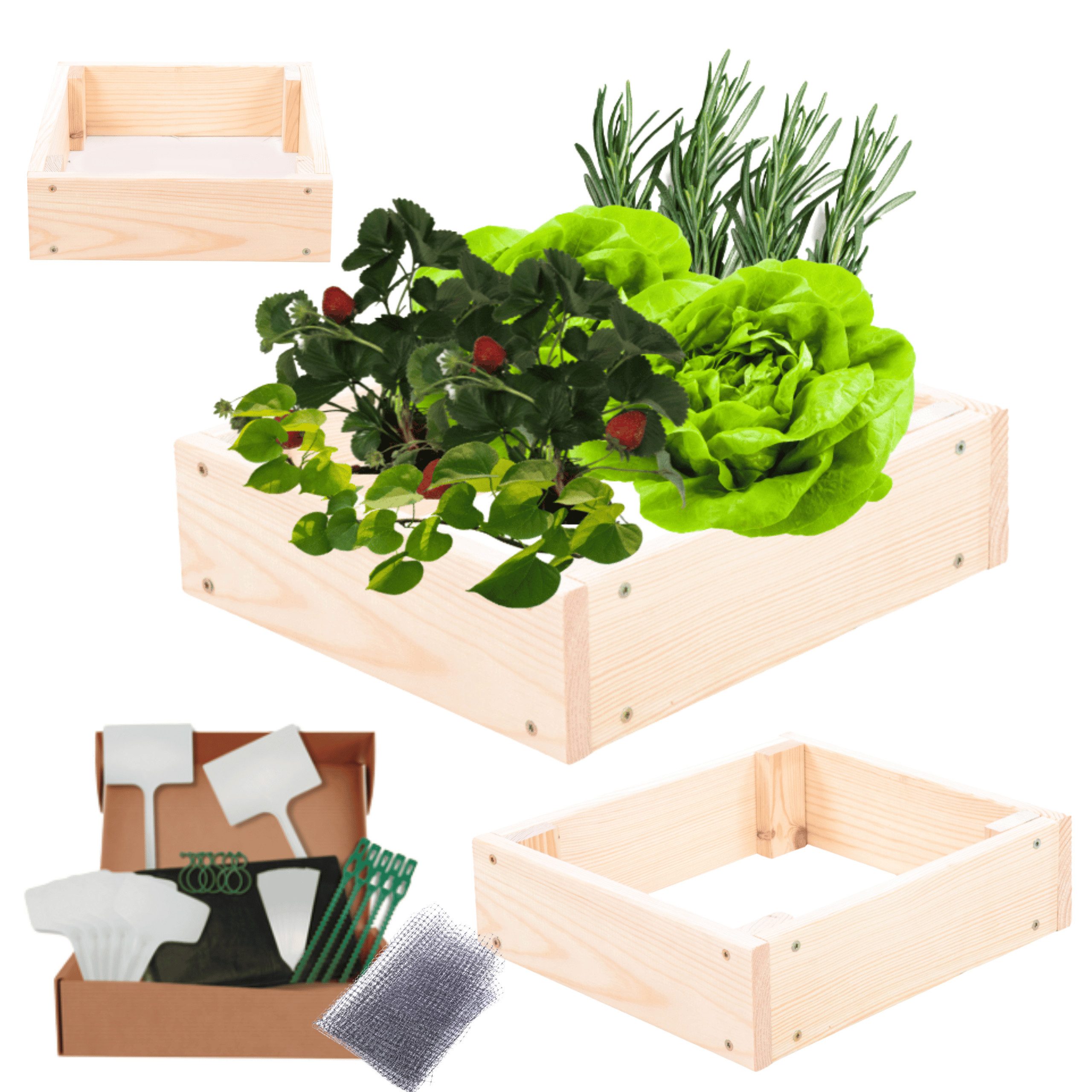 Modo24 Hochbeet Holz, Kräuterbeet, Gartenbeet, Pflanzbeet, Blumenbeet, Staudenbeet, Kiefernholz, höhenverstellbar, viele Größen, 3 Farben