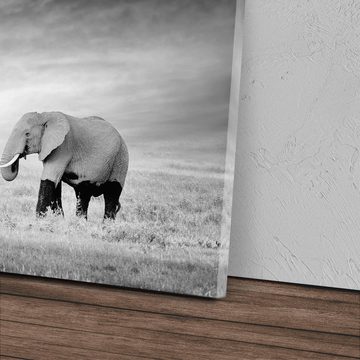 Sinus Art Leinwandbild 120x80cm Wandbild auf Leinwand Zwei Elefanten Schwarz Weiß Tierfotogra, (1 St)