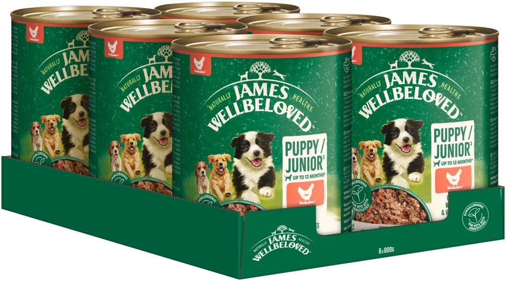 JAMES WELLBELOVED™ Hund Dose Junior Huhn Pastete 6 x 800g