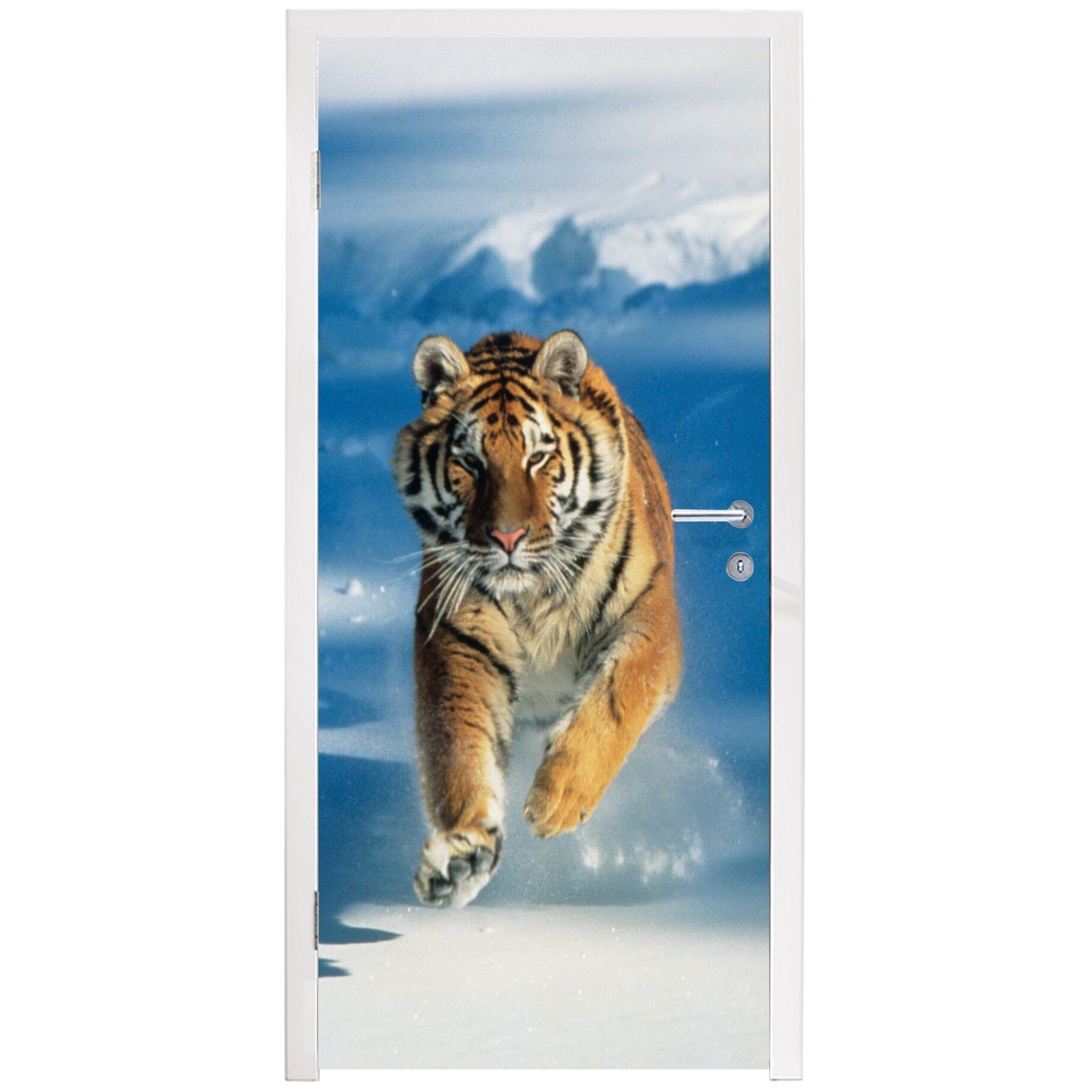 MuchoWow Türtapete Tiger - St), - für Matt, cm (1 Lauf, Tür, 75x205 bedruckt, Türaufkleber, Fototapete Schnee