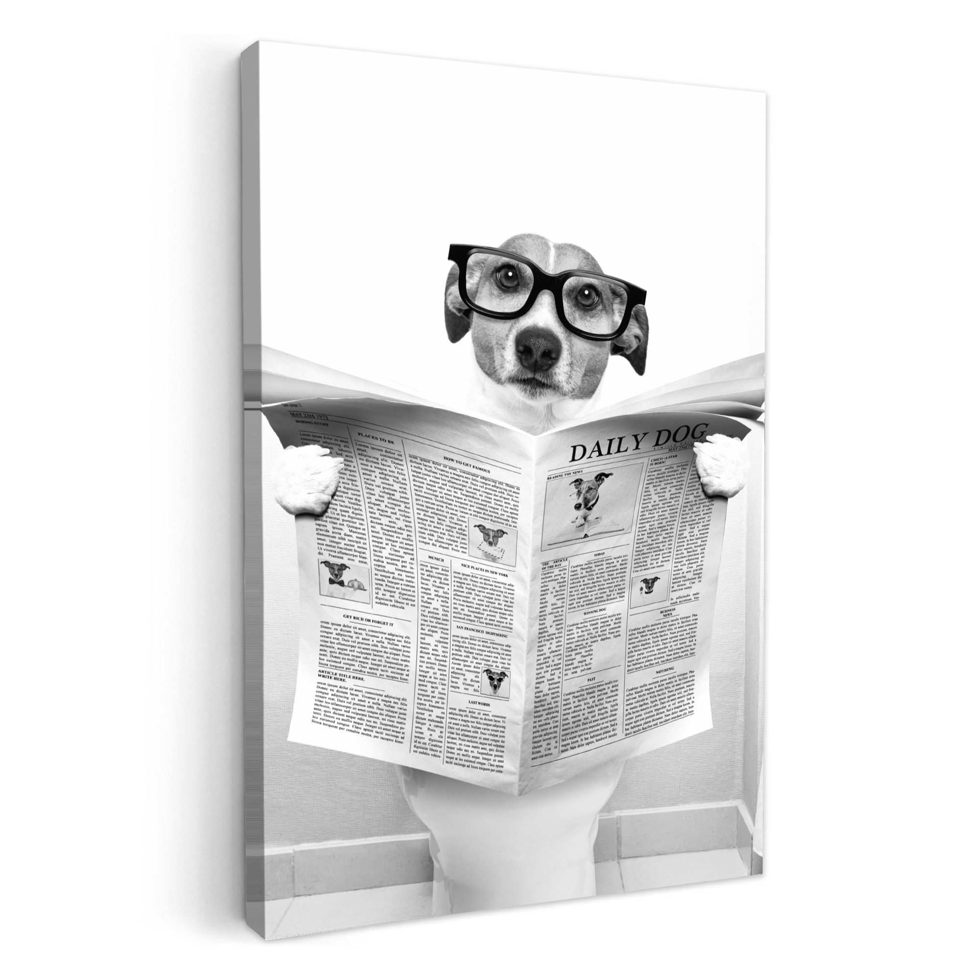 OneMillionCanvasses® Leinwandbild Hund - Zeitung - Toilette - Schwarz und weiß - Tiere, Fotodruck (1 St), Badezimmer Deko, Изображения WC, Toilette Wanddeko 20x30 cm