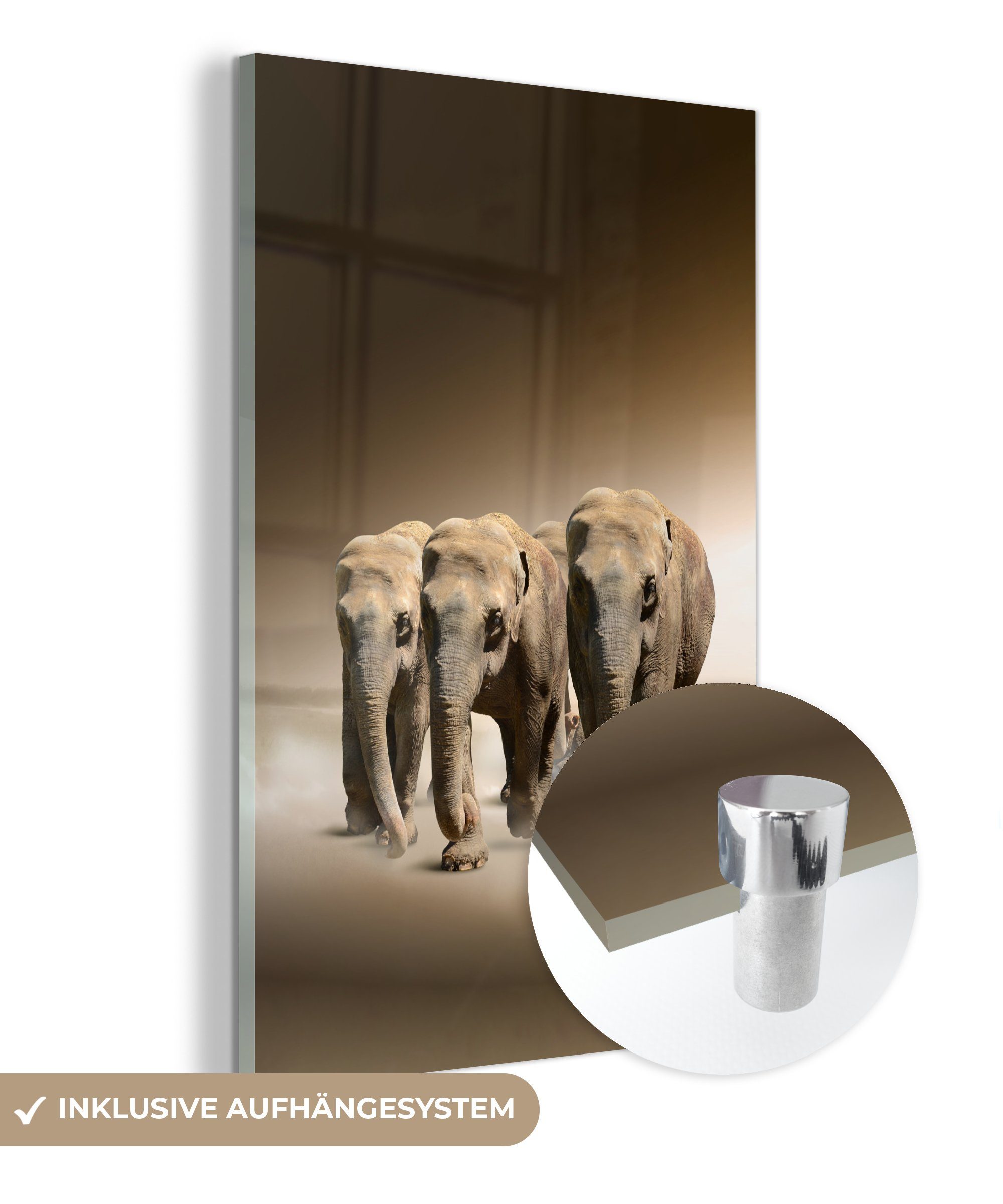 MuchoWow Acrylglasbild Elefanten St), Tiere Nebel, - Glas Glas - Foto Glasbilder Bilder - - auf Wanddekoration Wandbild (1 auf 