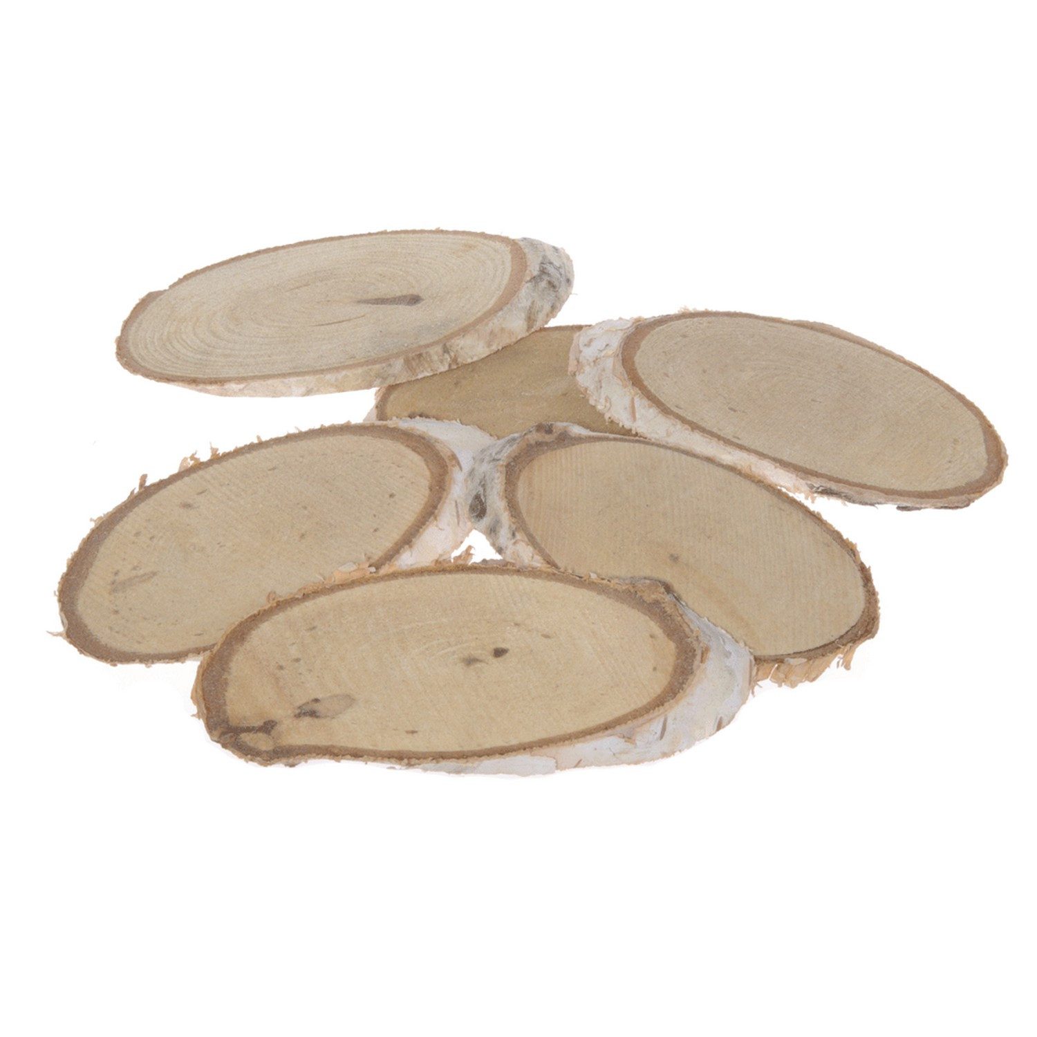 Deko AS Dekoobjekt Birkenholzscheiben - Oval - Birke - Holz - Scheiben - Mini - Natur -