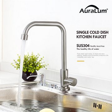AuraLum pro Spültischarmatur 360° Drehbarer Edelstahl Küchen Kaltwasser Wasserhahn Küchenarmatur