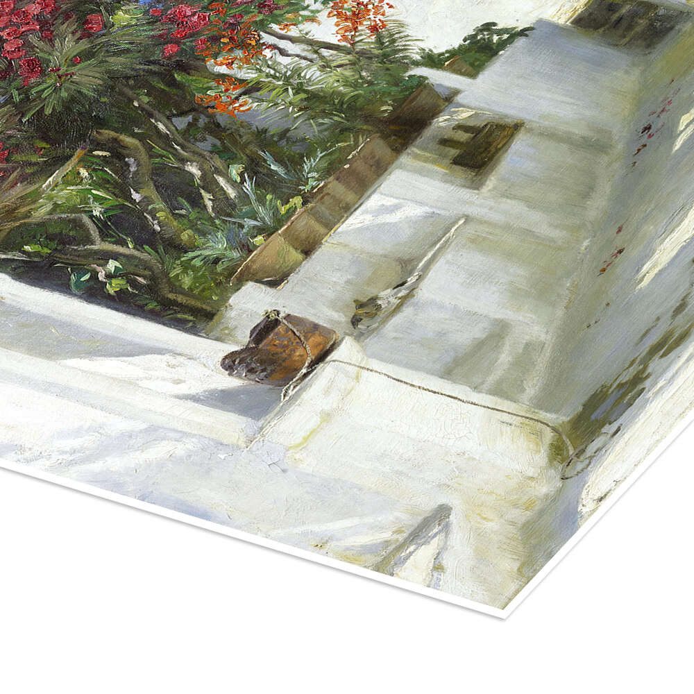 Posterlounge Wandbild Oleander in voller Blüte, Peder Severin Krøyer, erhältlich als Poster, Leinwandbild, Wandsticker oder Acrylglasbild