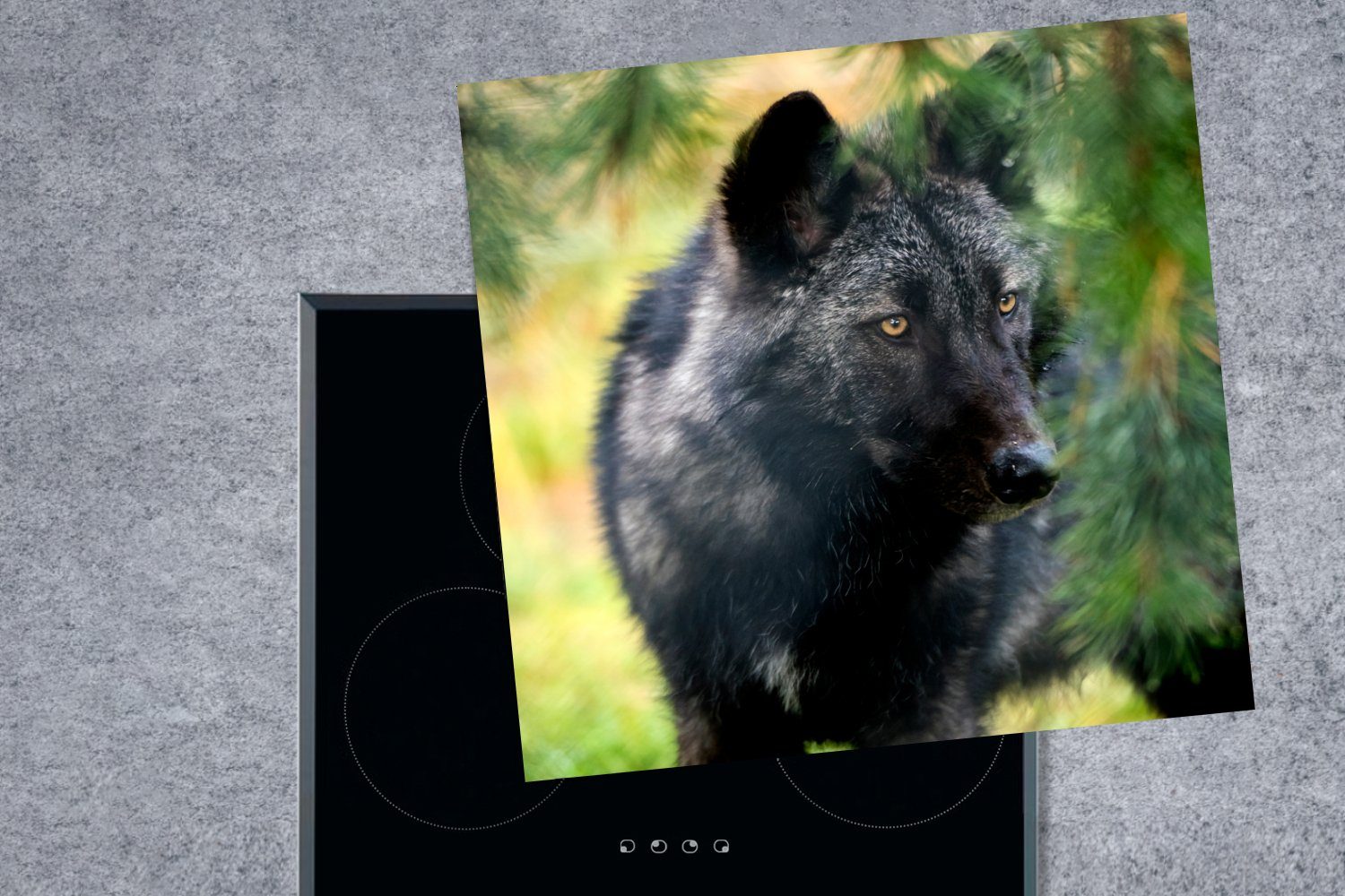 MuchoWow Herdblende-/Abdeckplatte Wolf - Makro Arbeitsplatte Vinyl, küche cm, tlg), Ceranfeldabdeckung, 78x78 (1 - Blätter, für