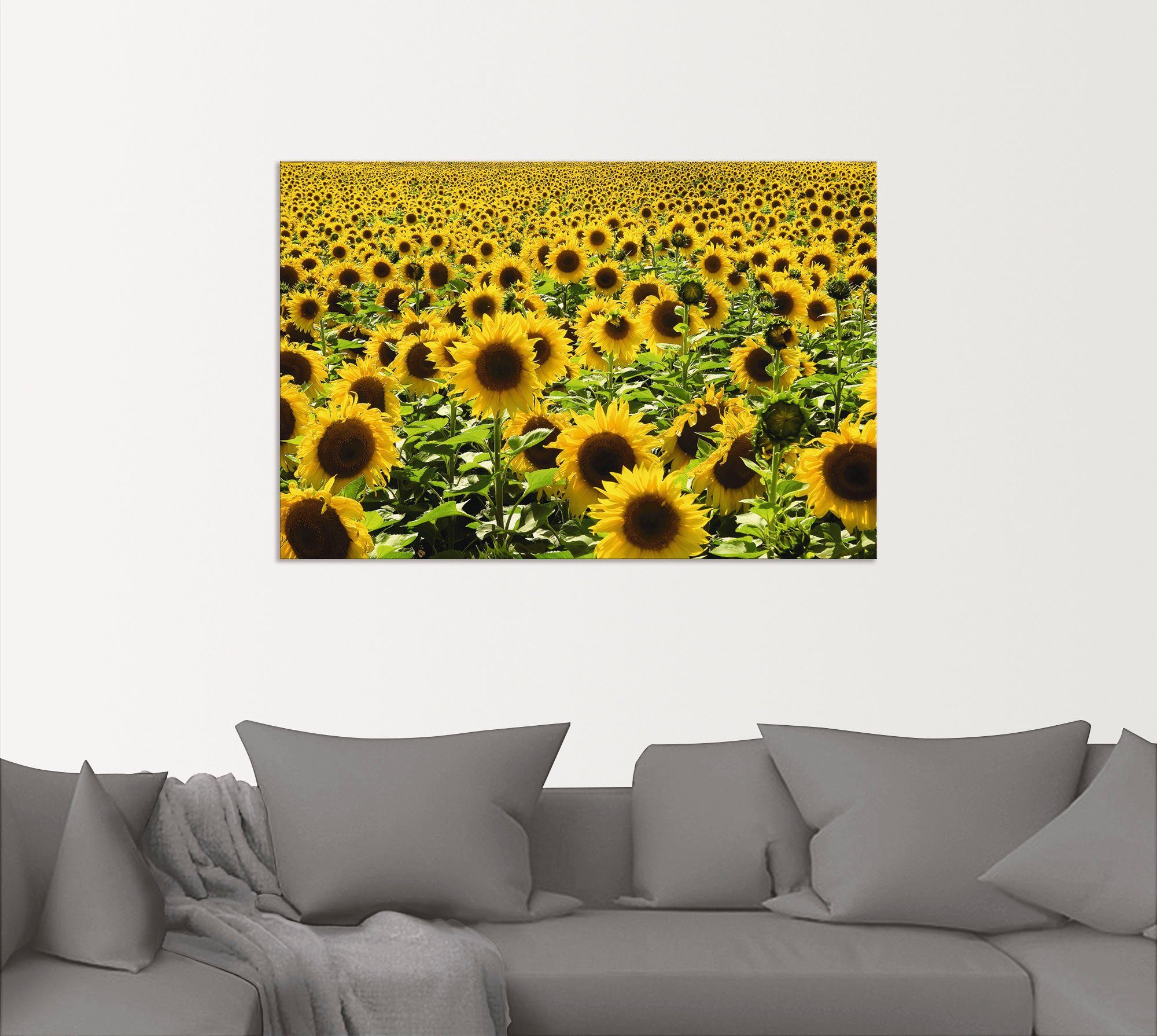 Artland Wandbild Sonnenblumenfeld, Blumen (1 St), als Alubild, Leinwandbild in verschied. Größen