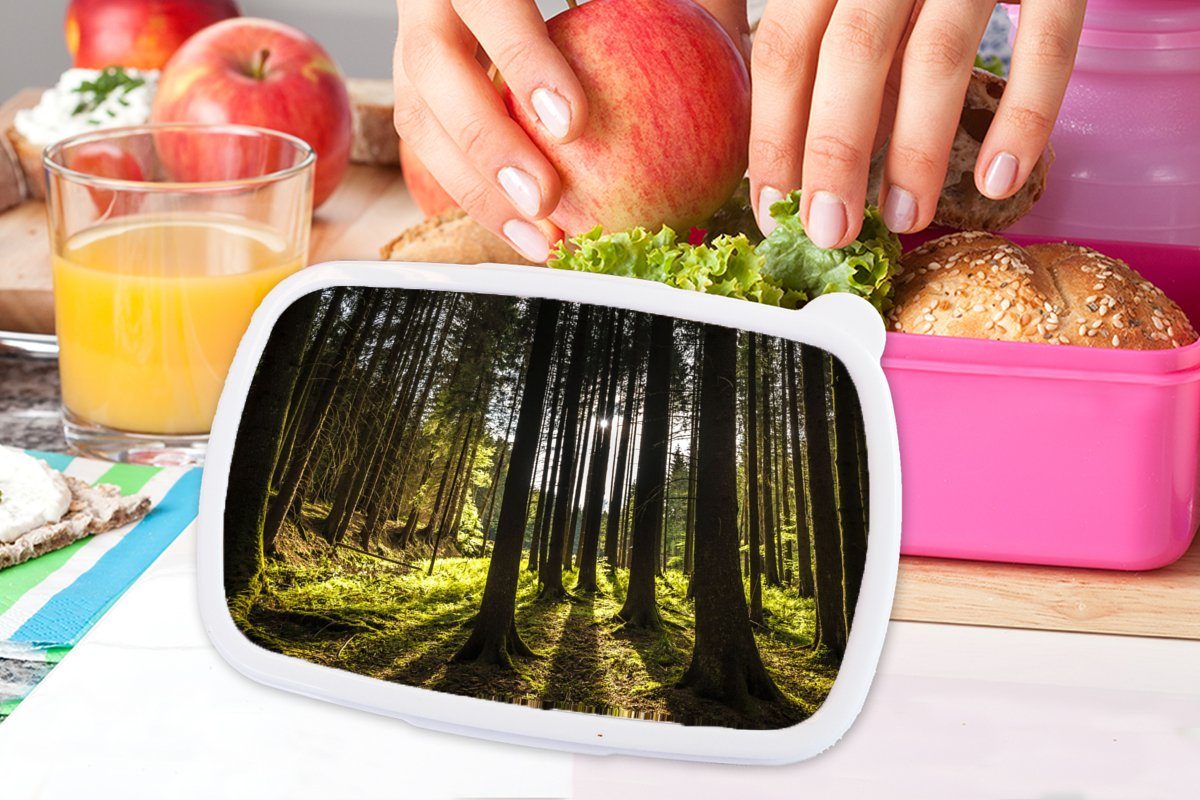 MuchoWow Lunchbox Baum Brotdose Natur Sonne Kunststoff, - für - Erwachsene, Kinder, Snackbox, Wald, rosa Mädchen, (2-tlg), - Brotbox Kunststoff