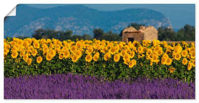 Artland Wandbild »Lavendel Sonnenblumen in der Provence«, Blumenwiese (1 St), in vielen Größen & Produktarten - Alubild / Outdoorbild für den Außenbereich, Leinwandbild, Poster, Wandaufkleber / Wandtattoo auch für Badezimmer geeignet