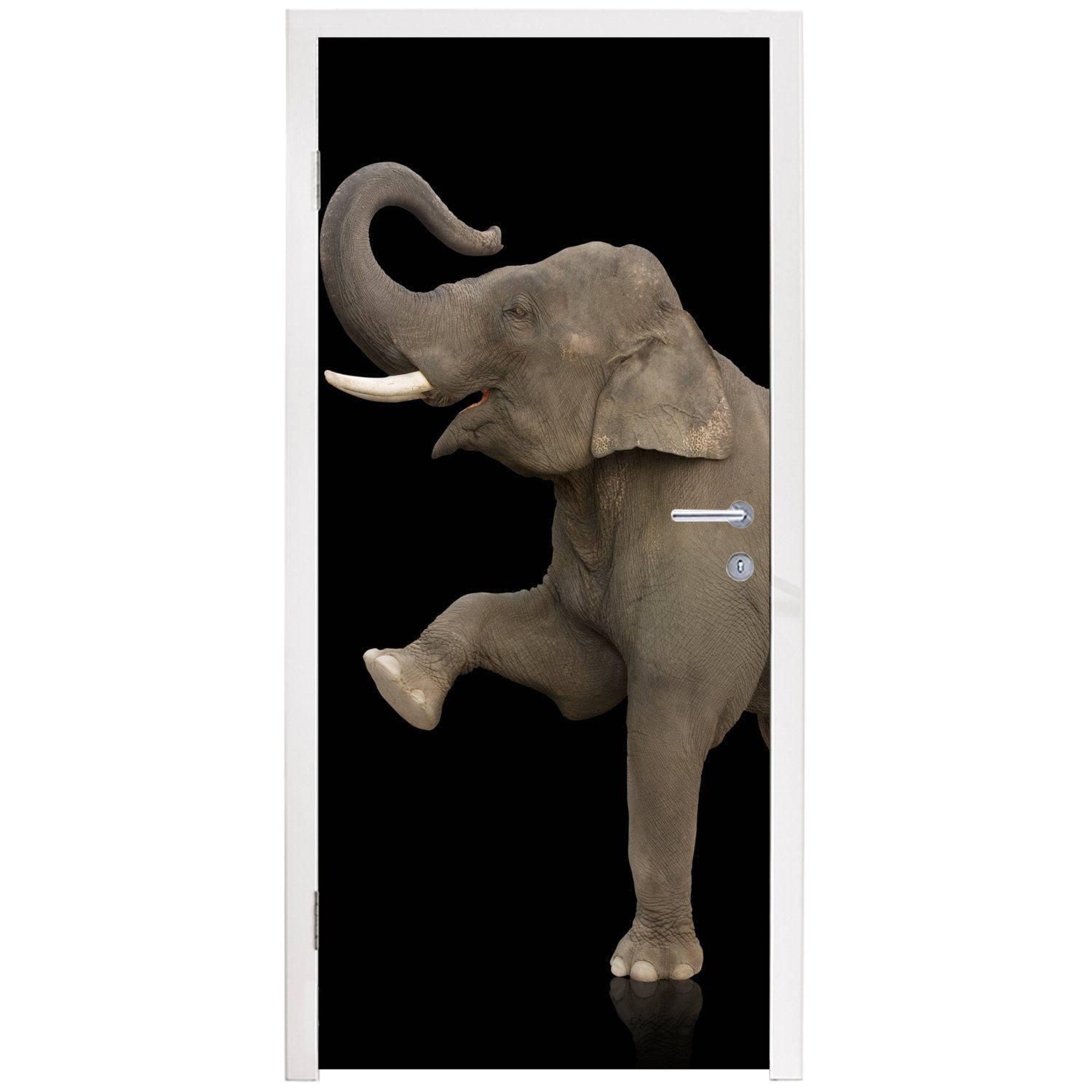 MuchoWow Matt, Türaufkleber, bedruckt, Elefant Porträt, Schwarz 75x205 Fototapete Tiere Türtapete für cm St), (1 Tür, - - -