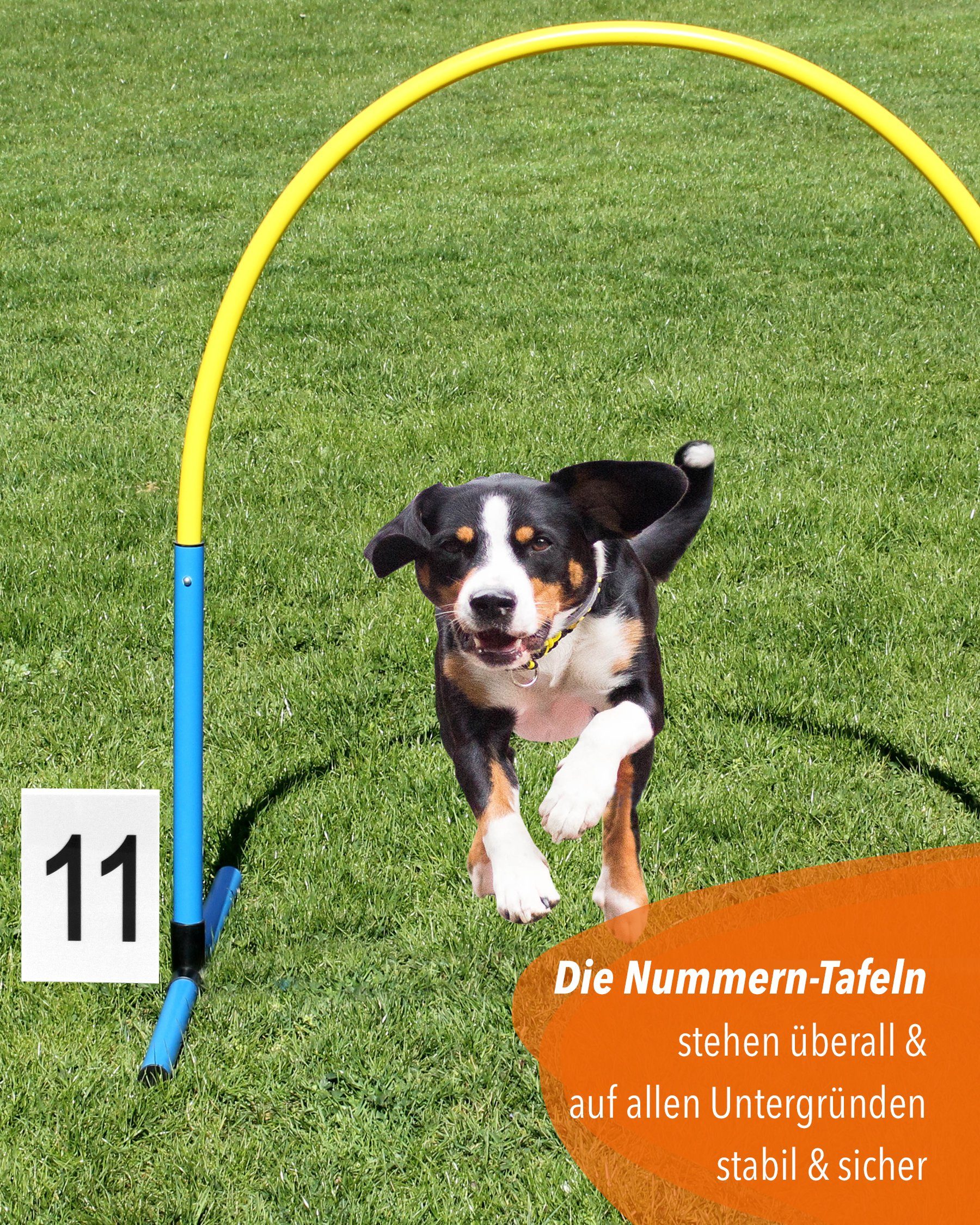 Superhund Agility-Slalom Zahlen-Tafeln von 1-25 durchnummeriert