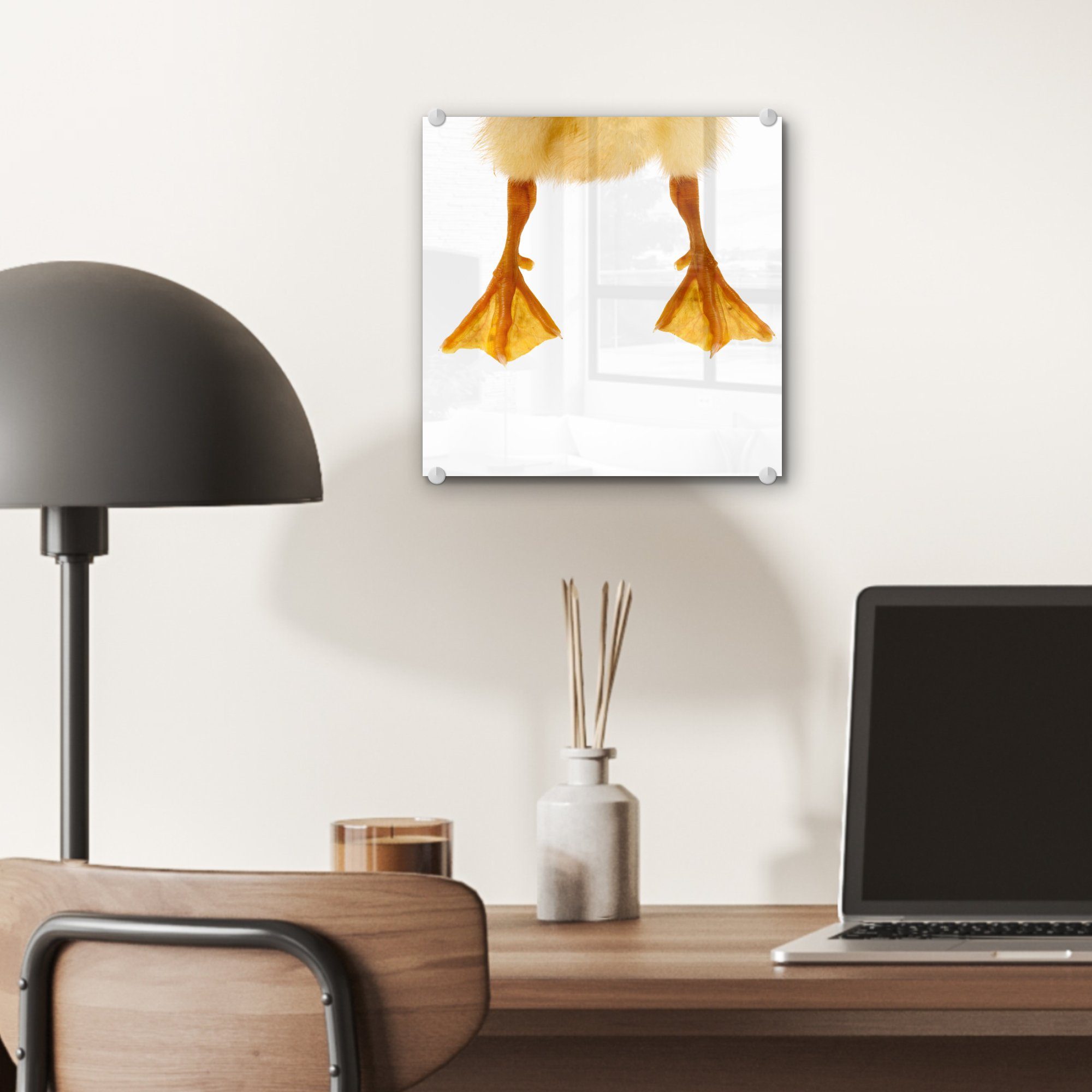 Glas eines Bilder Wandbild (1 Wanddekoration - Foto Glasbilder auf Entenbabys, Acrylglasbild - St), MuchoWow auf Beine - Glas