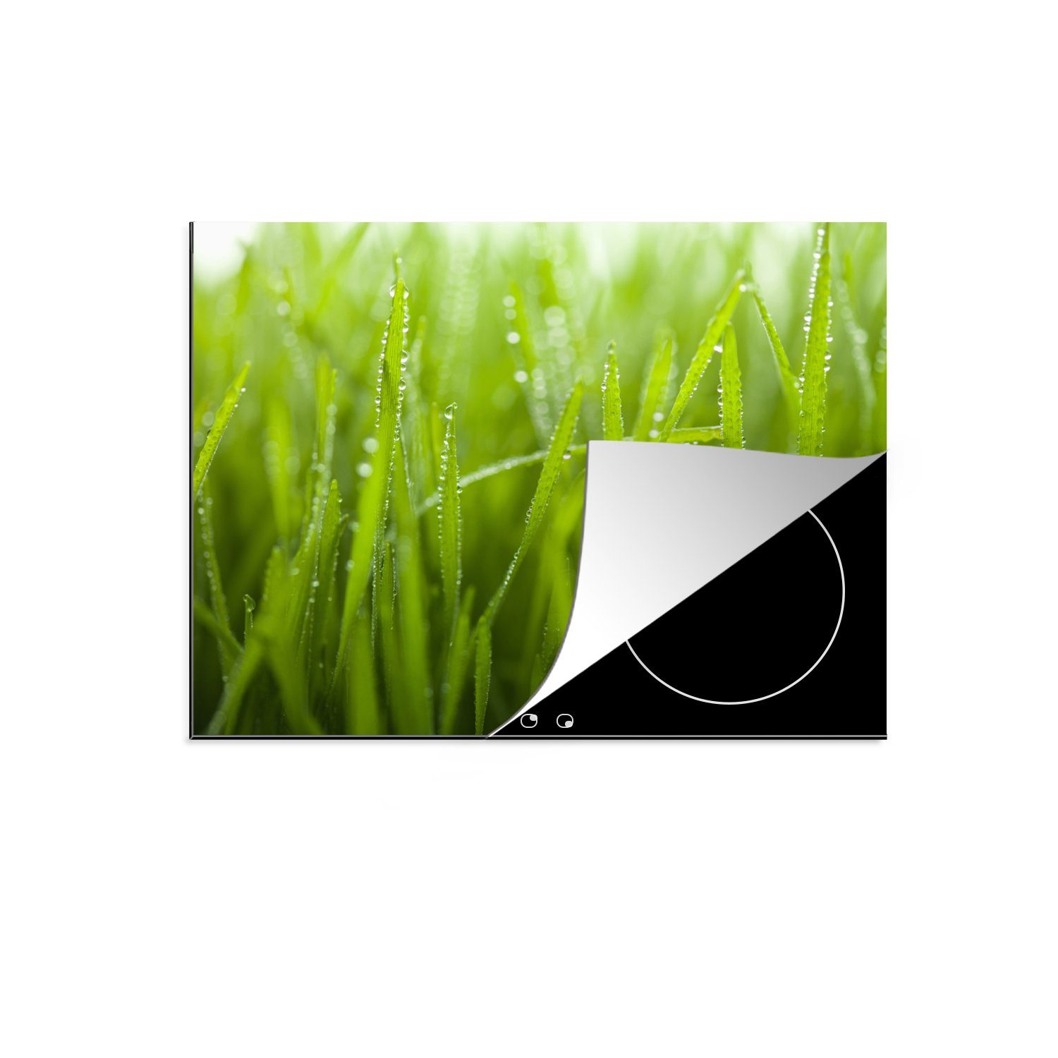 Tautropfen tlg), (1 Ceranfeldabdeckung Vinyl, Frühe Gras, nutzbar, auf cm, Mobile 70x52 Herdblende-/Abdeckplatte Arbeitsfläche MuchoWow