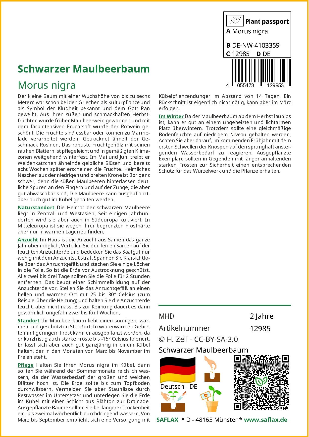 SAFLAX Blumensamen SAFLAX - Samen - günstig online kaufen
