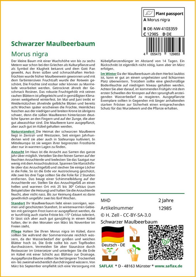 Thumbnail - SAFLAX Blumensamen SAFLAX - Samen - Schwarzer Maulbeerbaum