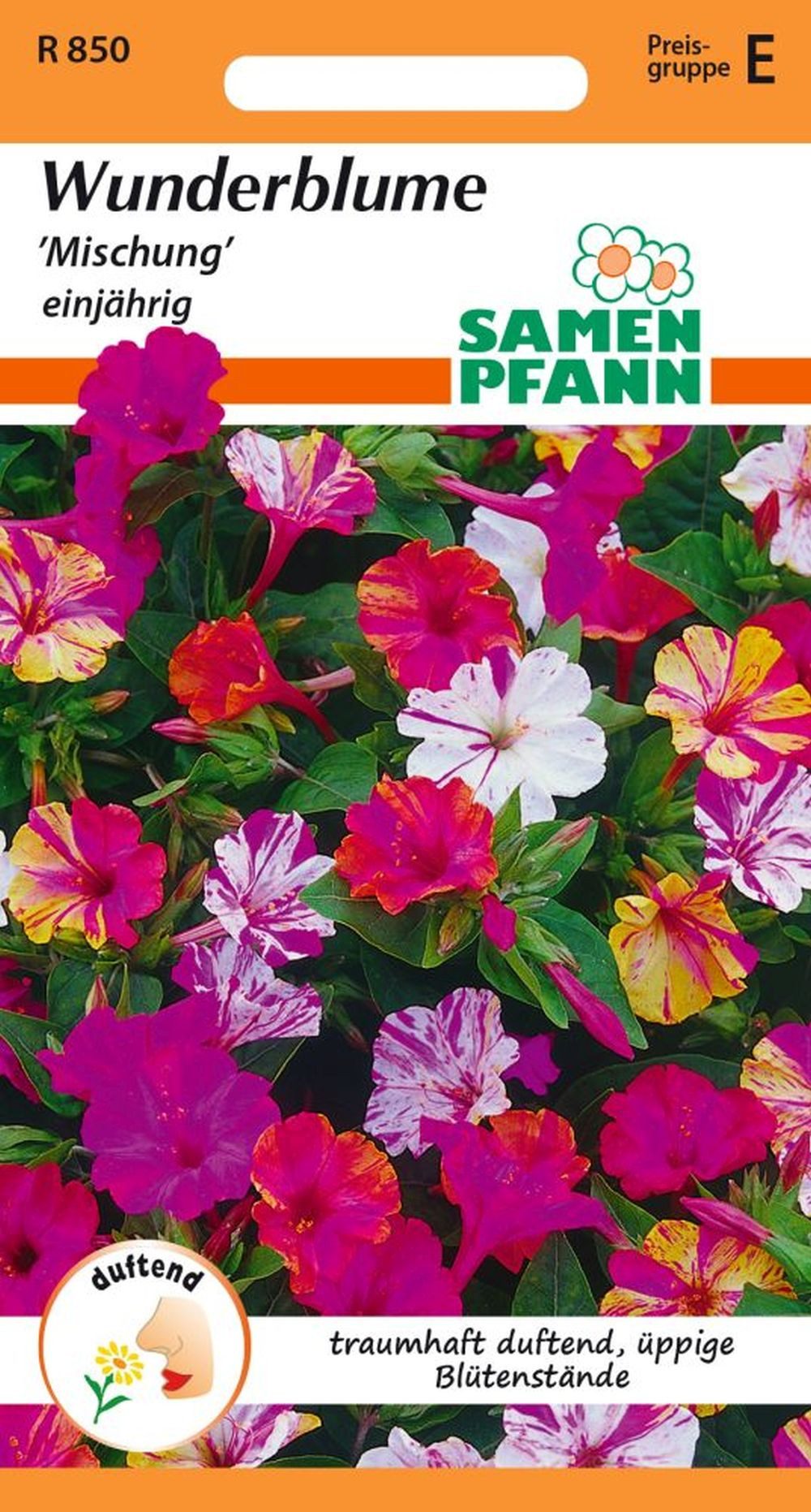 SAMEN PFANN Blumensamen Wunderblume, Mischung - Saatgut Samen, Mirabilis jalapa