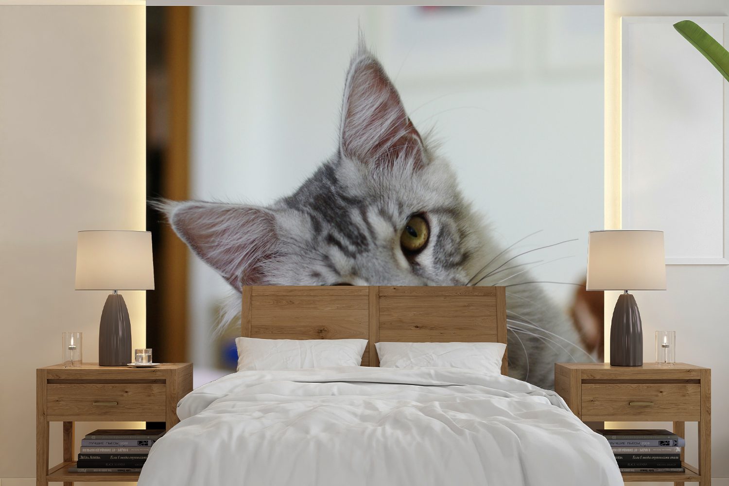 MuchoWow Fototapete Eine liegende graue Maine Coon Katze, Matt, bedruckt, (5 St), Vinyl Tapete für Wohnzimmer oder Schlafzimmer, Wandtapete