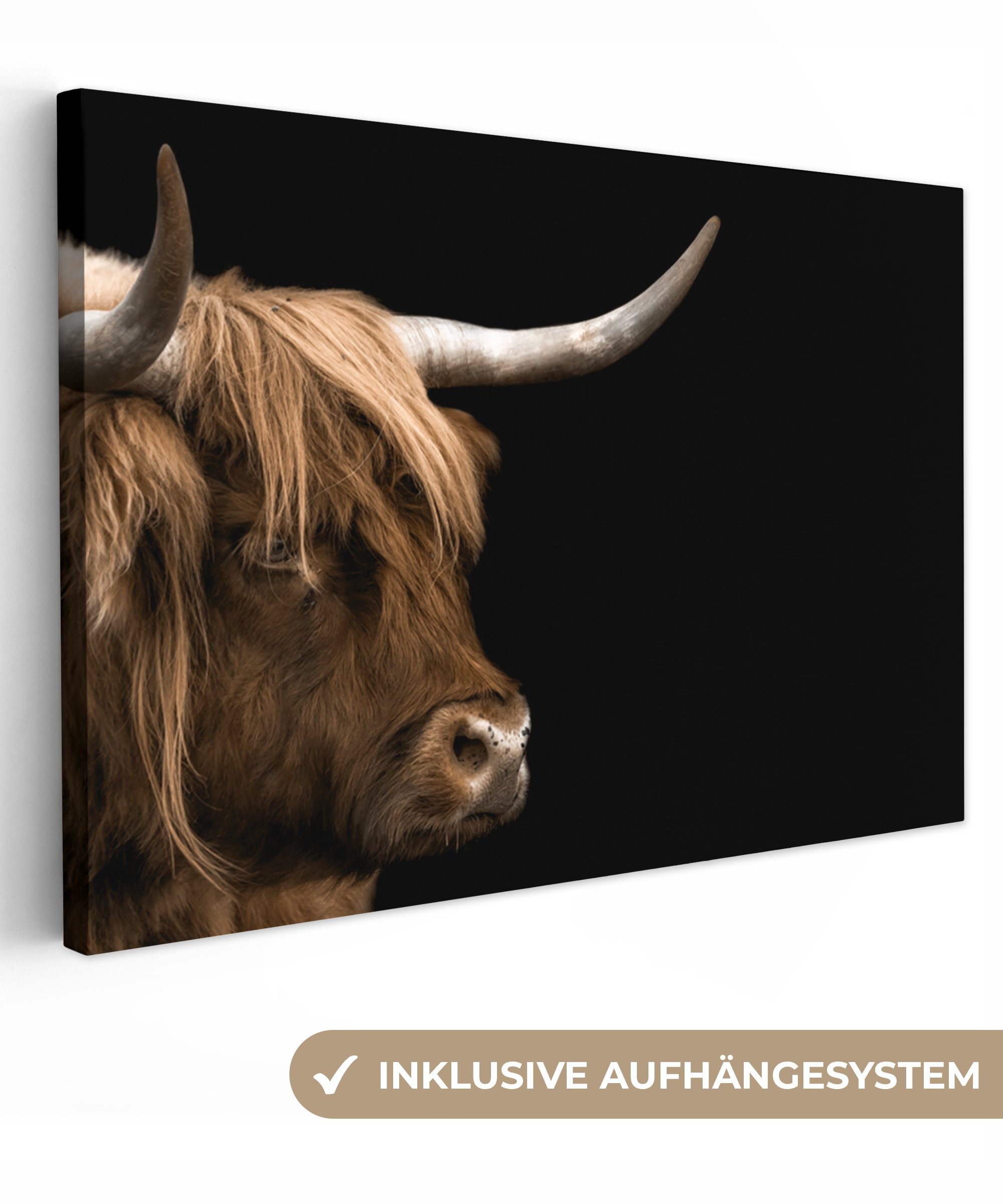 OneMillionCanvasses® Leinwandbild Schottischer Highlander - Tiere günstig online kaufen
