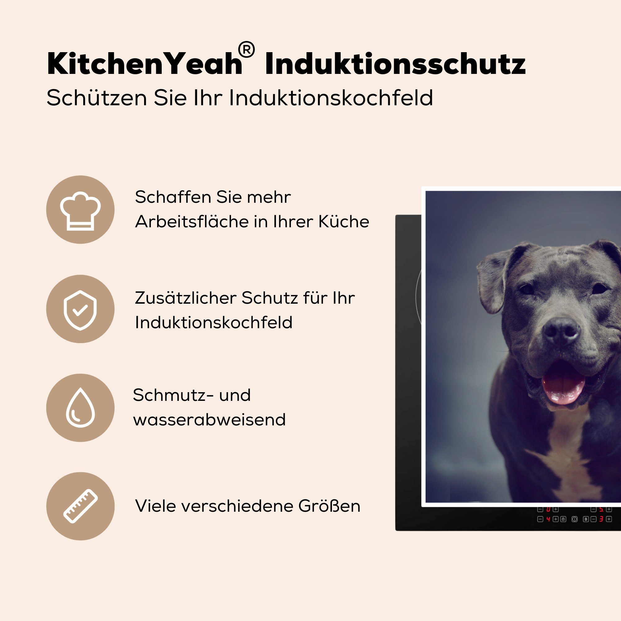 MuchoWow Herdblende-/Abdeckplatte Grauer American Staffordshire Terrier Kamera, in 78x78 die Arbeitsplatte (1 tlg), küche Vinyl, lächelt für Ceranfeldabdeckung, cm