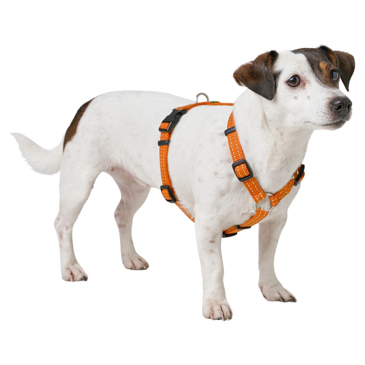 Hunter Tierbedarf Hunde-Geschirr Geschirr Tripoli Vario Basic orange, refle günstig online kaufen