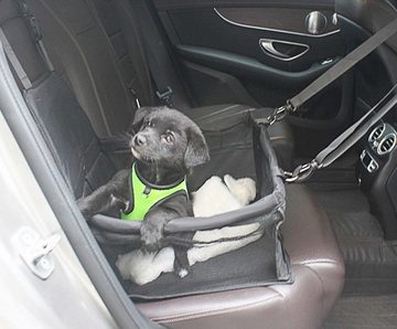 FIDDY Hunde-Autositz Waschbare Autositze für Hunde, Reiseautositze für Haustiere, Polyesterfaser (Polyester), Bequemes Haustierbett auf dem Rücksitz, geeignet für Autos