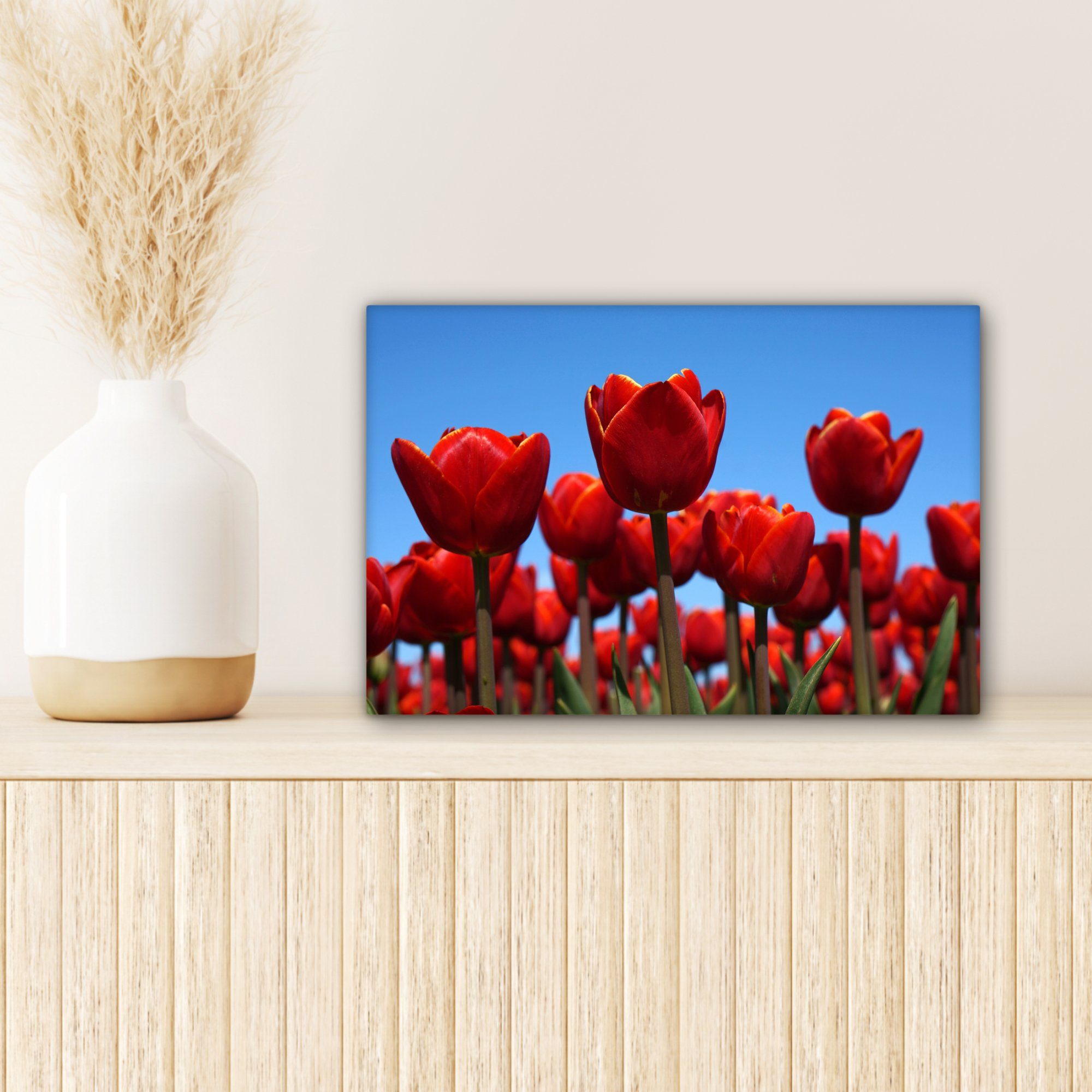 cm Leinwandbilder, Rote OneMillionCanvasses® Leinwandbild Tulpe, Aufhängefertig, 30x20 (1 St), Wandbild Wanddeko, Die