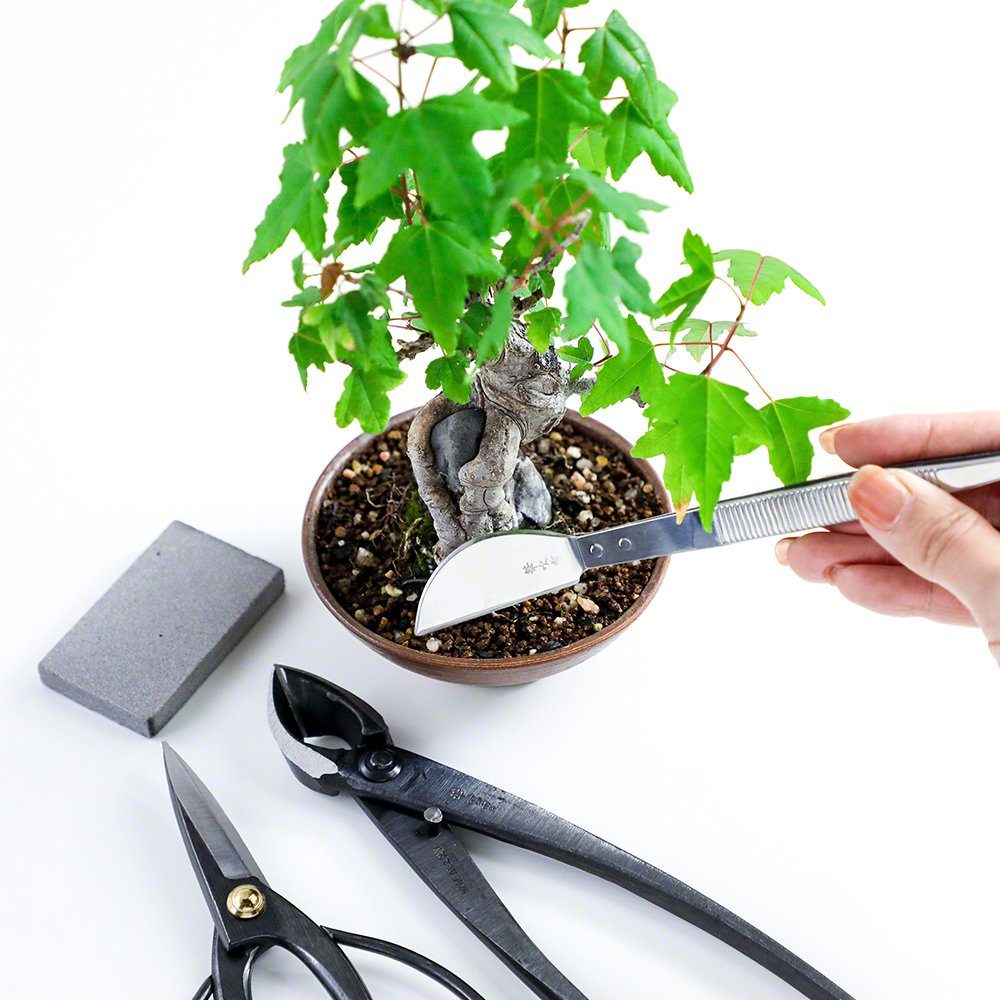 Wazakura Saftradierer für Bonsai-Gartengeräte Made in Japan Schmutzradierer