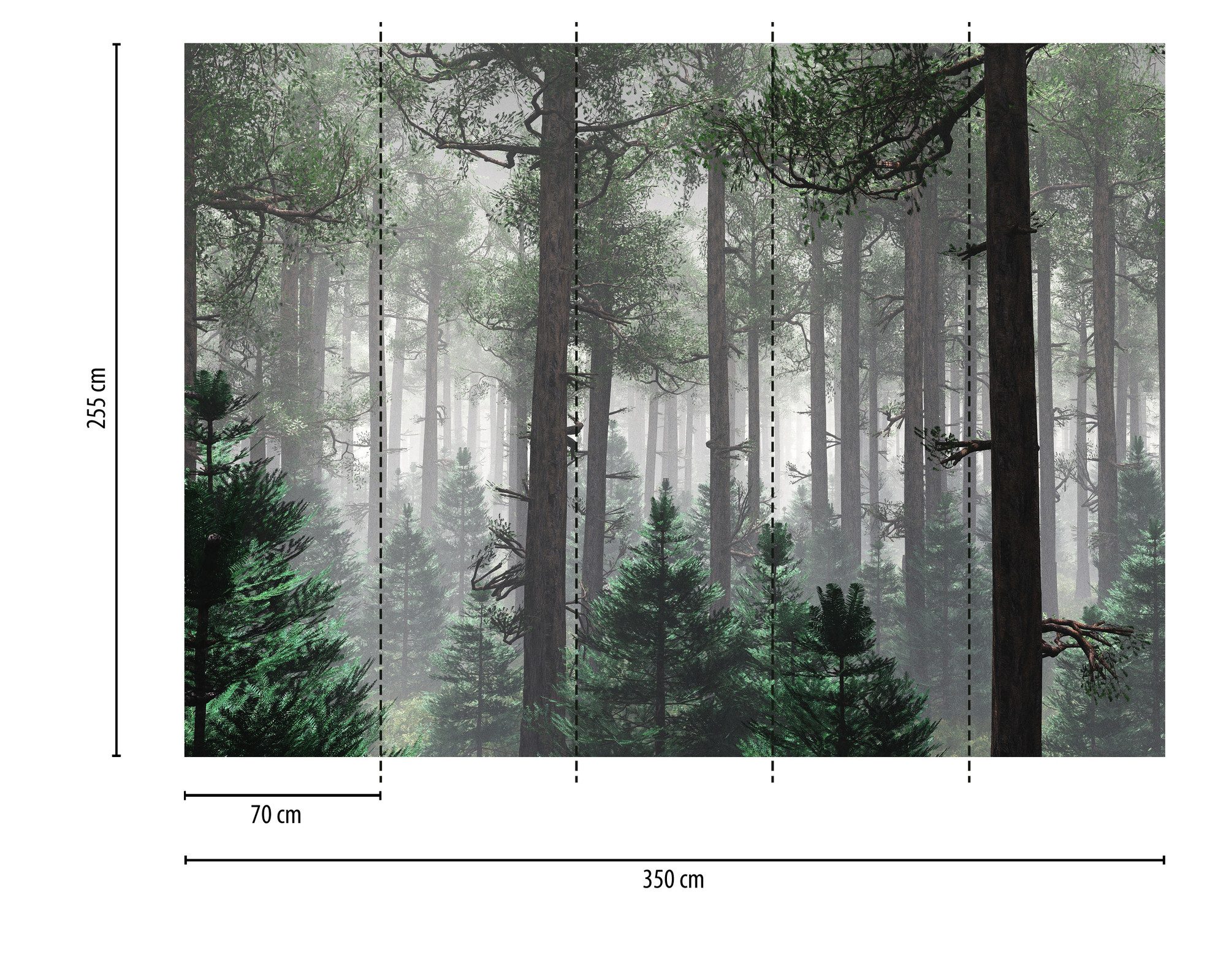 A.S. Création Vliestapete Fototapete Nadelwald mit Nebel Grün Grau, strukturiert, matt, (1 St)