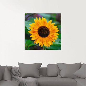 Artland Glasbild Sonnenblume, Blumen (1 St), in verschiedenen Größen