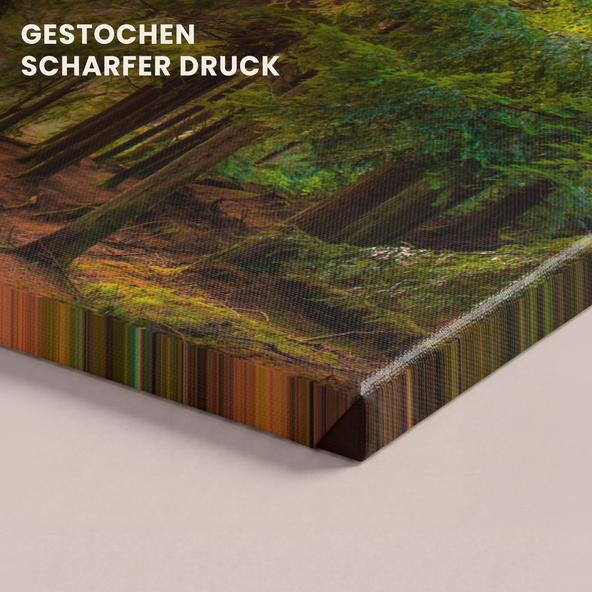 OneMillionCanvasses® Leinwandbild Panorama Wald - Weg - Bäume - Grün - Sonne - Natur, Fotodruck (1 St), Wandbild, Deko Schlafzimmer Wohnzimmer Flur 40x20 cm – Bild 3 von 5