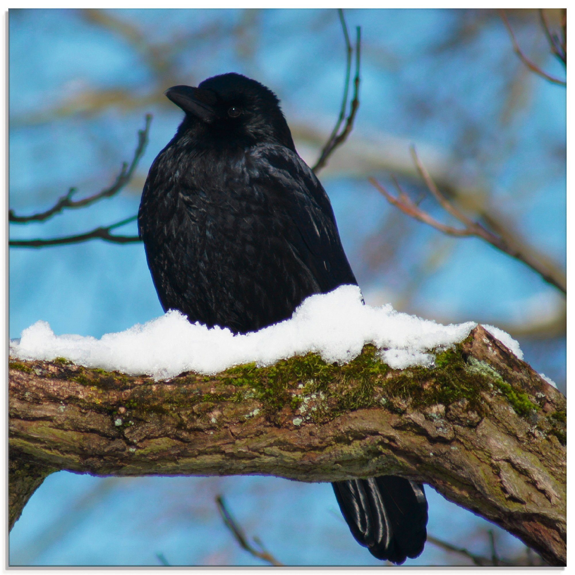 in (1 Größen Winter, Rabe verschiedenen im St), Glasbild Artland Vögel