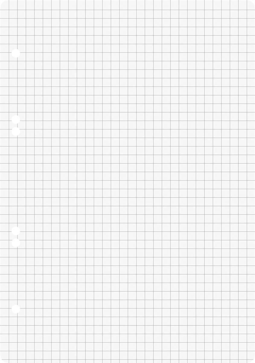 BRUNNEN Ringbuchmappe 10X BRUNNEN 1066302 Ringbucheinlagen, A5, kariert, weiß, 50 Blatt