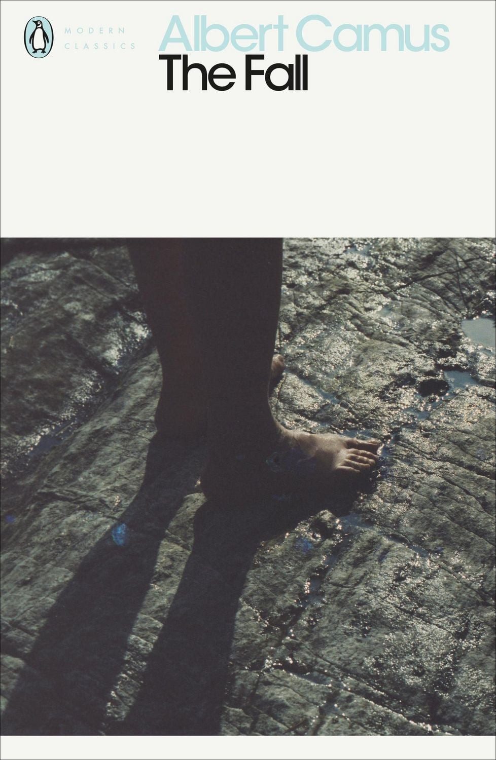 Belletristik The Fall Albert Camus