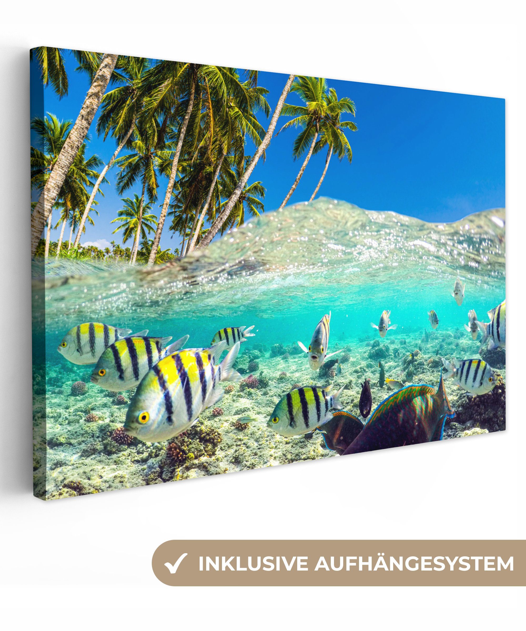 Farben, Aufhängefertig, Fische Leinwandbild Leinwandbilder, cm Wanddeko, - (1 - 30x20 St), Strand OneMillionCanvasses® Wandbild