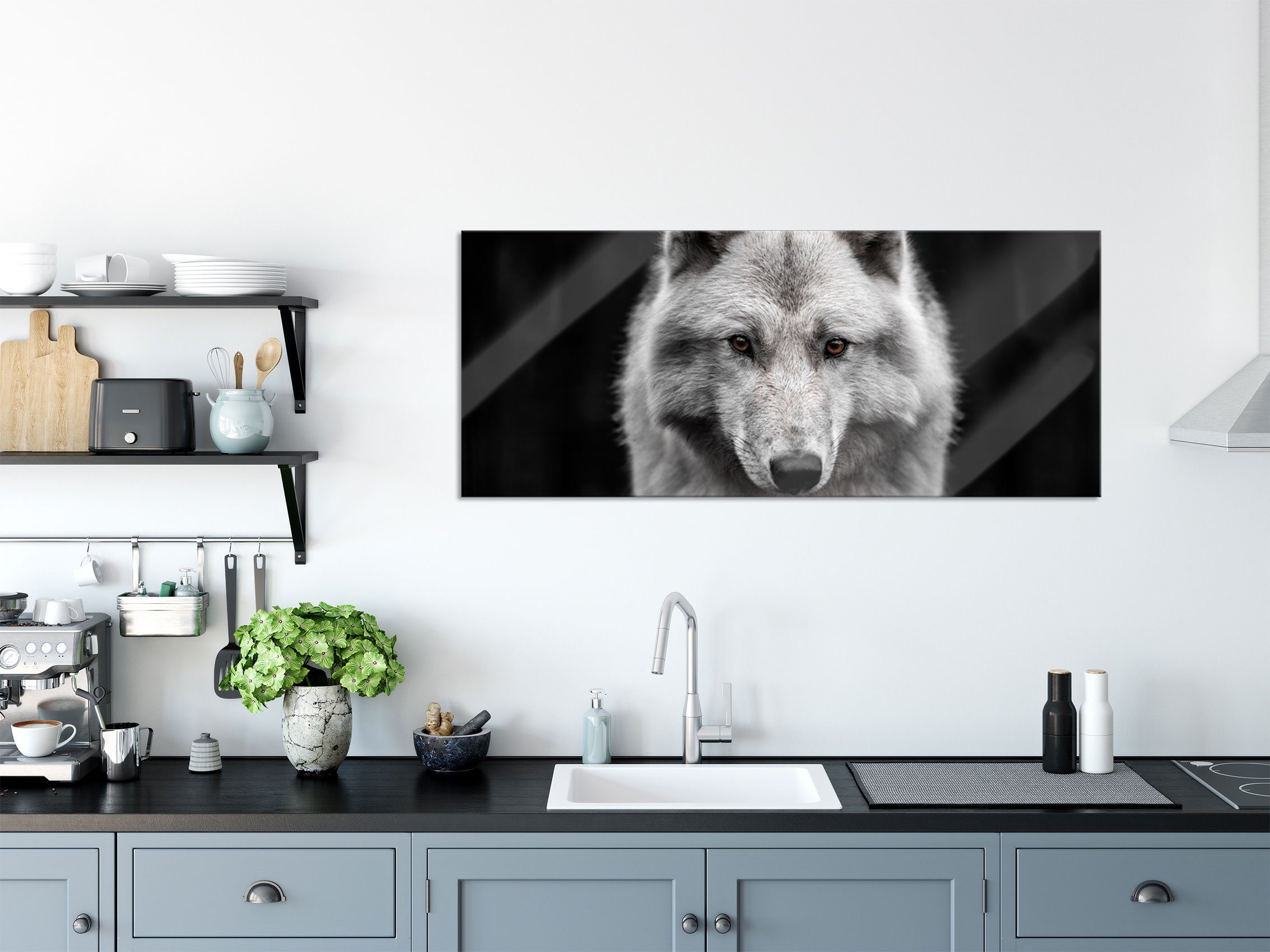 Nahaufnahme (1 Pixxprint aus Aufhängungen St), junger Polarwolf, und Echtglas, junger Glasbild Abstandshalter inkl. Nahaufnahme Polarwolf Glasbild