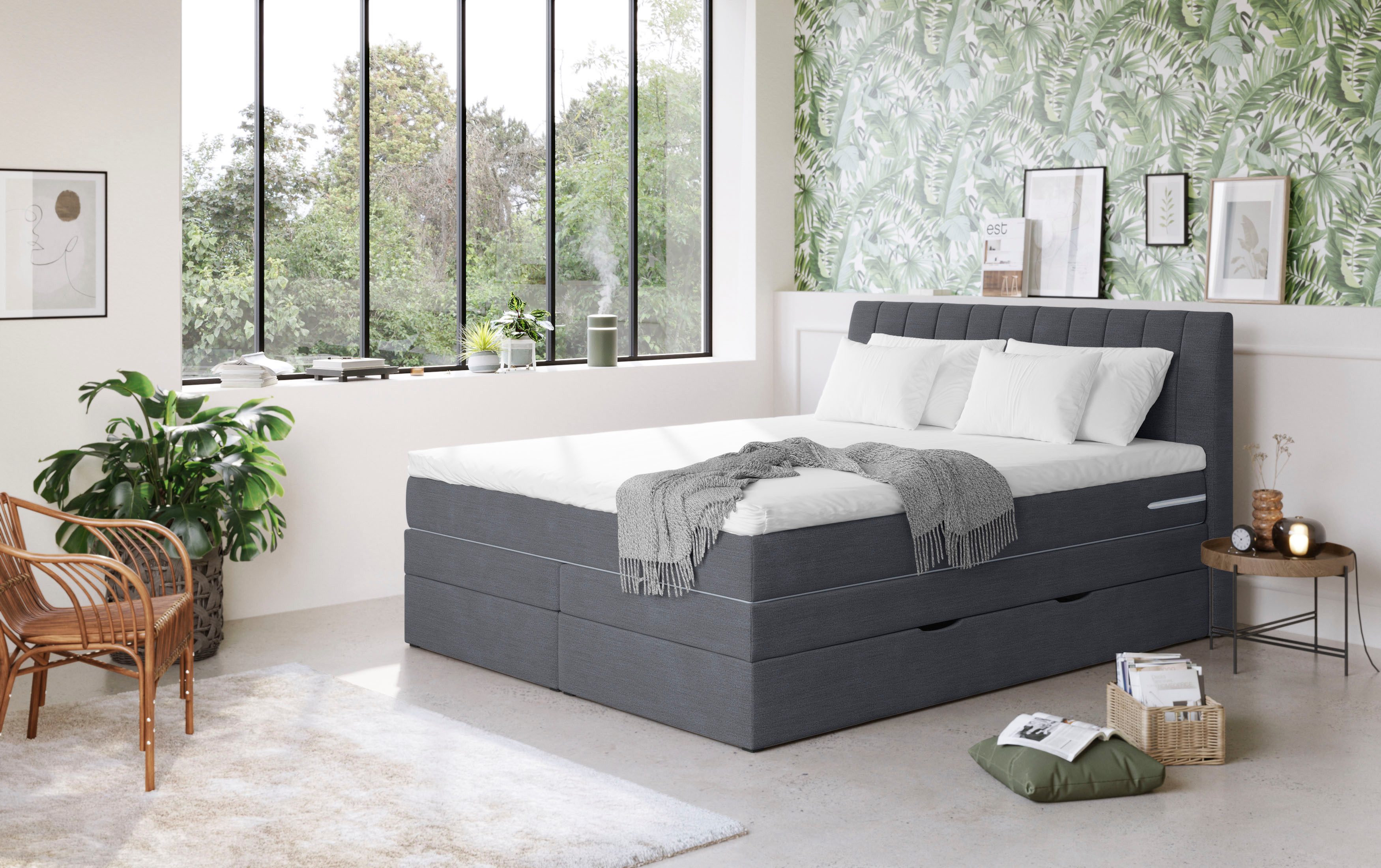 COTTA Boxspringbett Shark inkl. Bettkasten und Topper, erhältlich in den Br günstig online kaufen